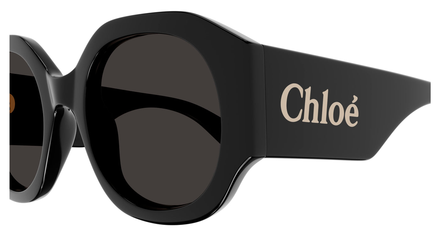 Chloe CH0234S Sunglasses 889652482811