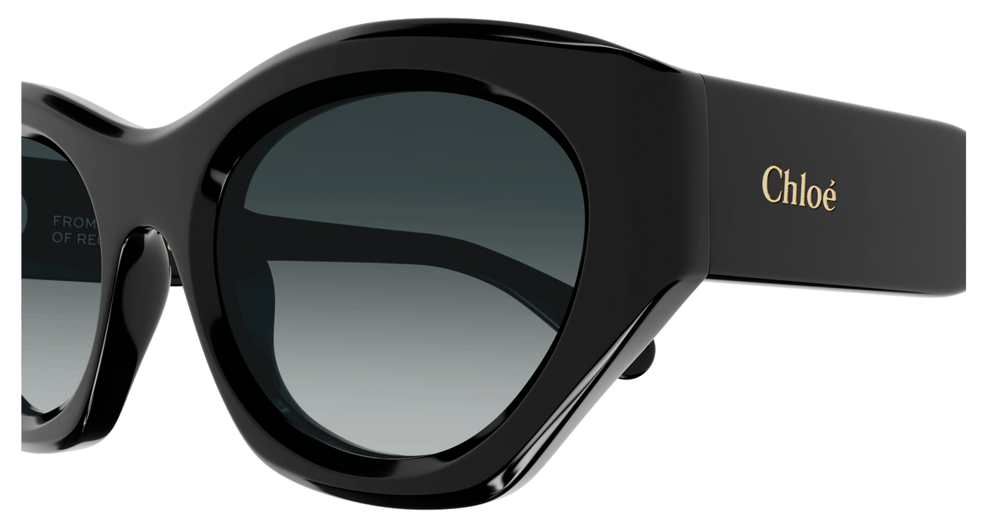 Chloe CH0220S Sunglasses 889652480923