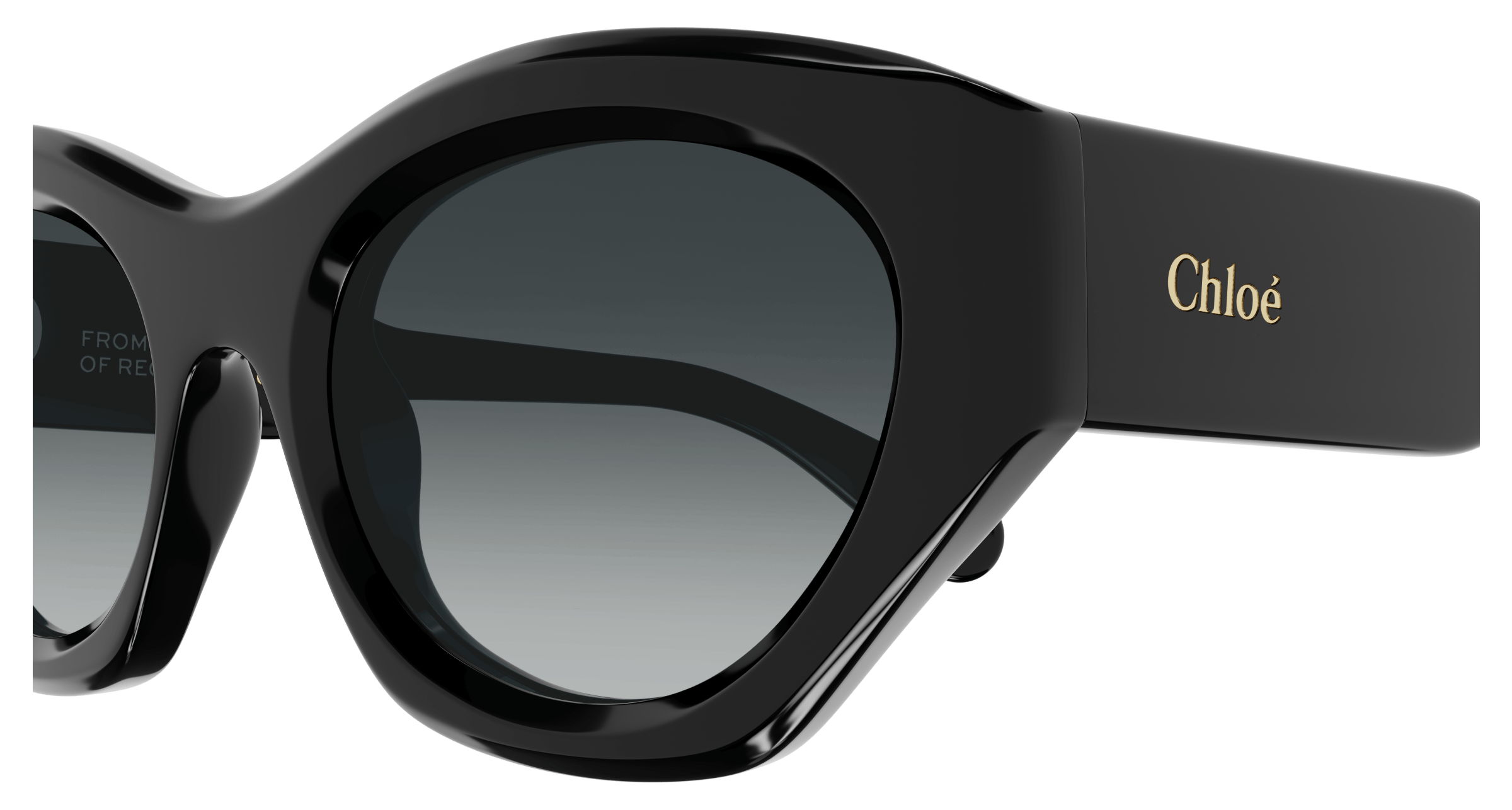 Chloe CH0220S Sunglasses 889652480923