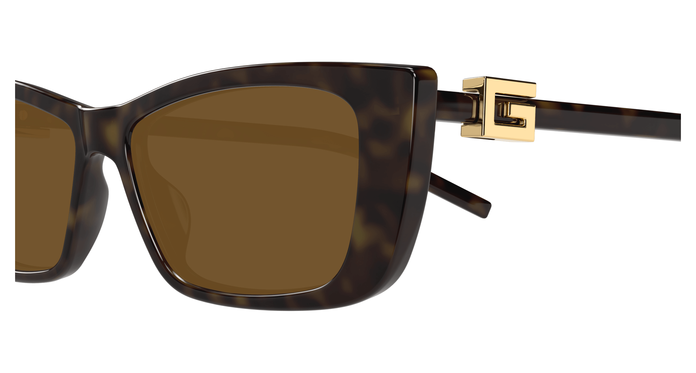 Havana Sunglasses Gucci 889652498843