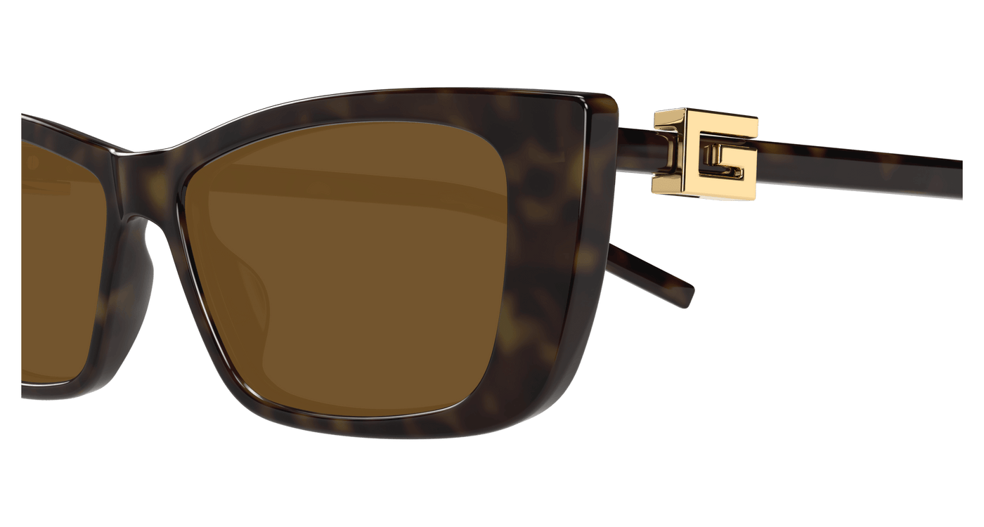 Havana Sunglasses Gucci 889652498843