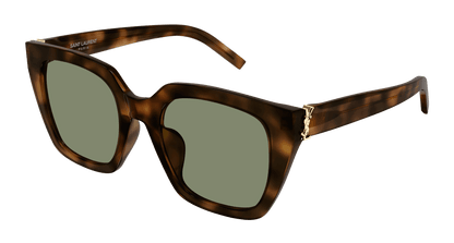 Saint Laurent SL M143 Havana 428 889652521428