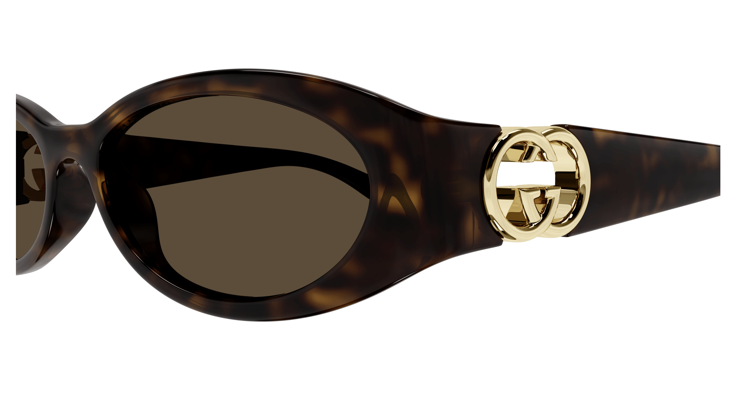 Havana Sunglasses Gucci 889652494838