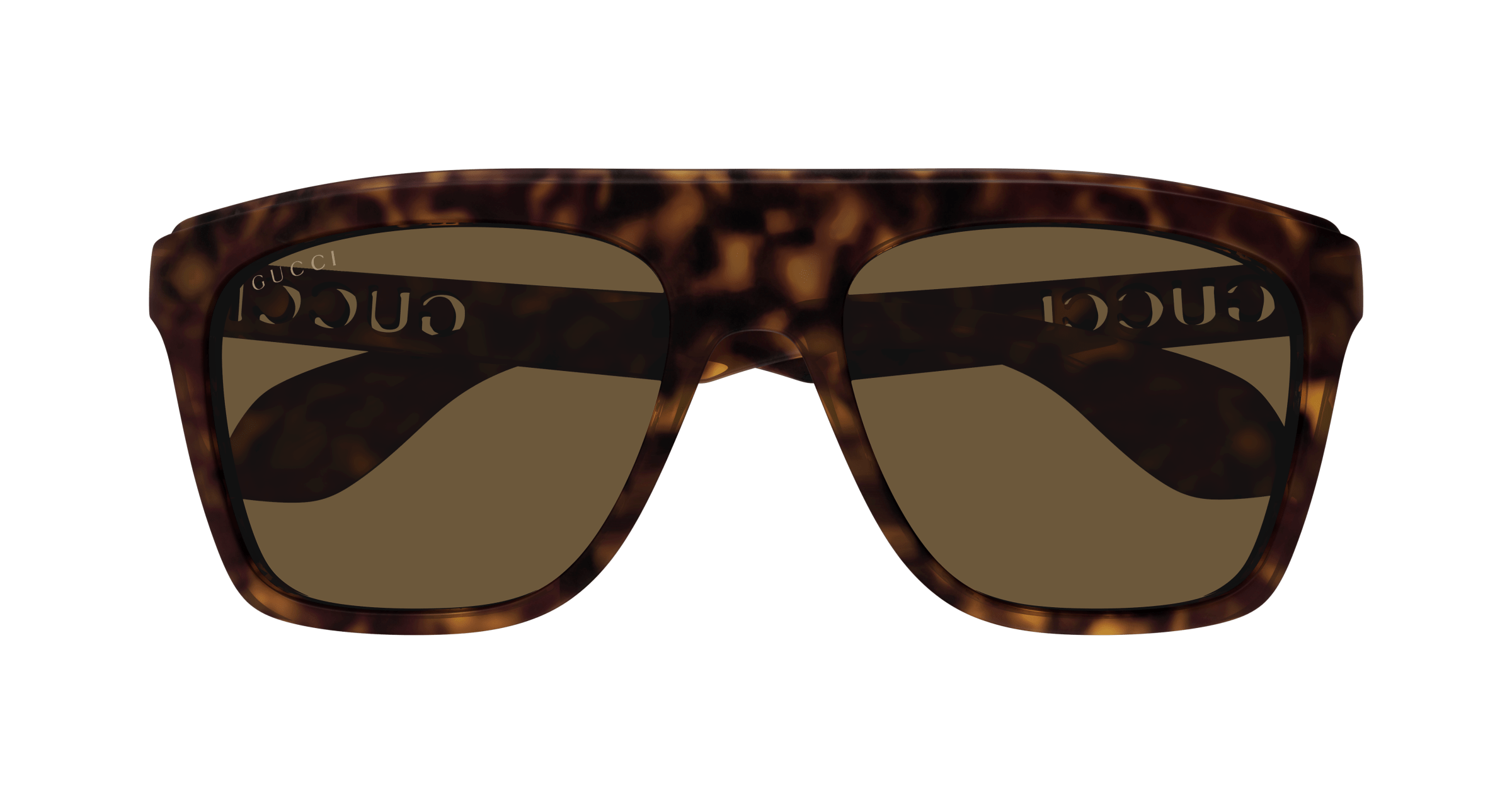 Havana Sunglasses Gucci 889652469034