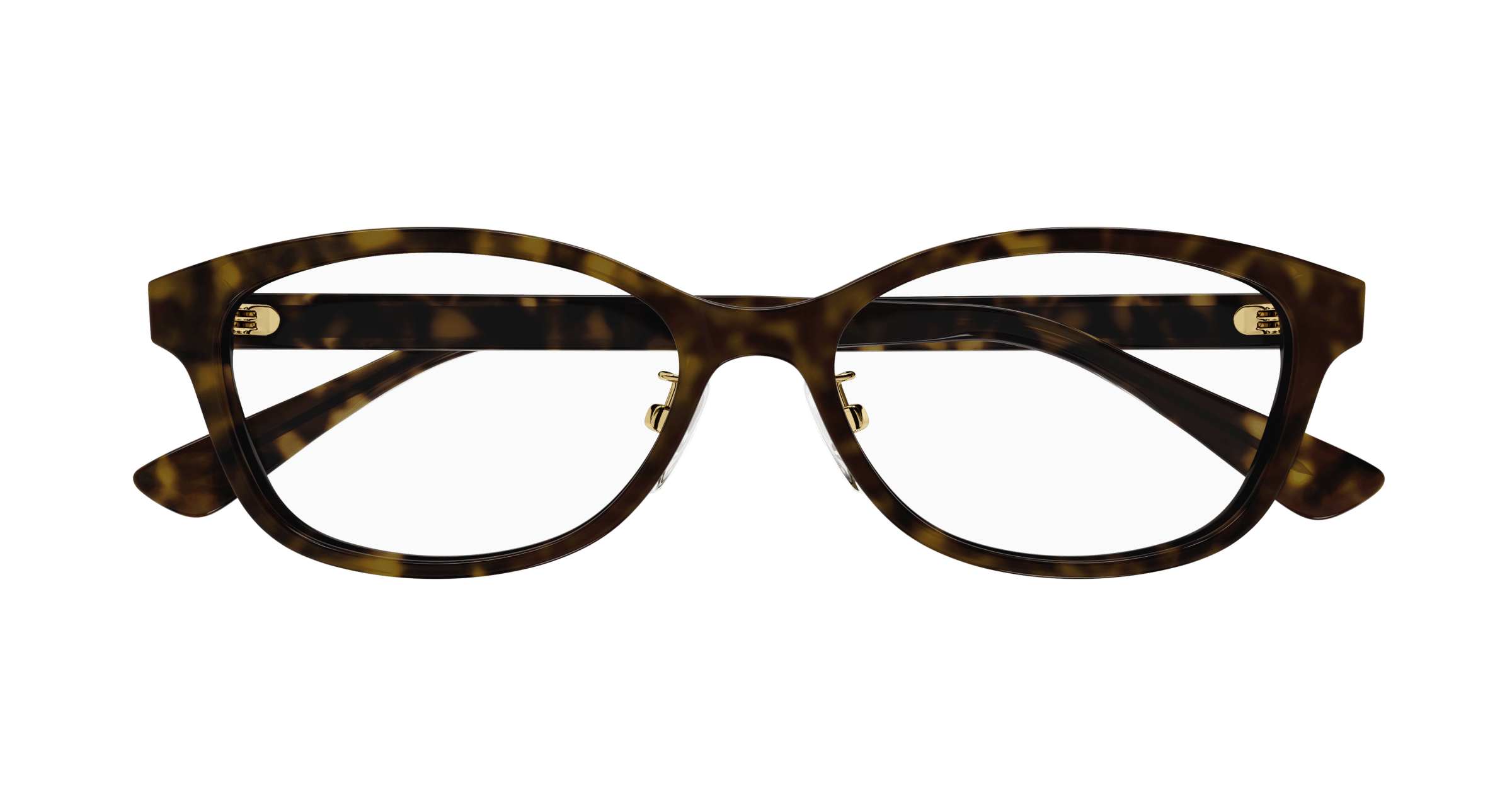 Havana Eyeglasses Gucci 889652473802