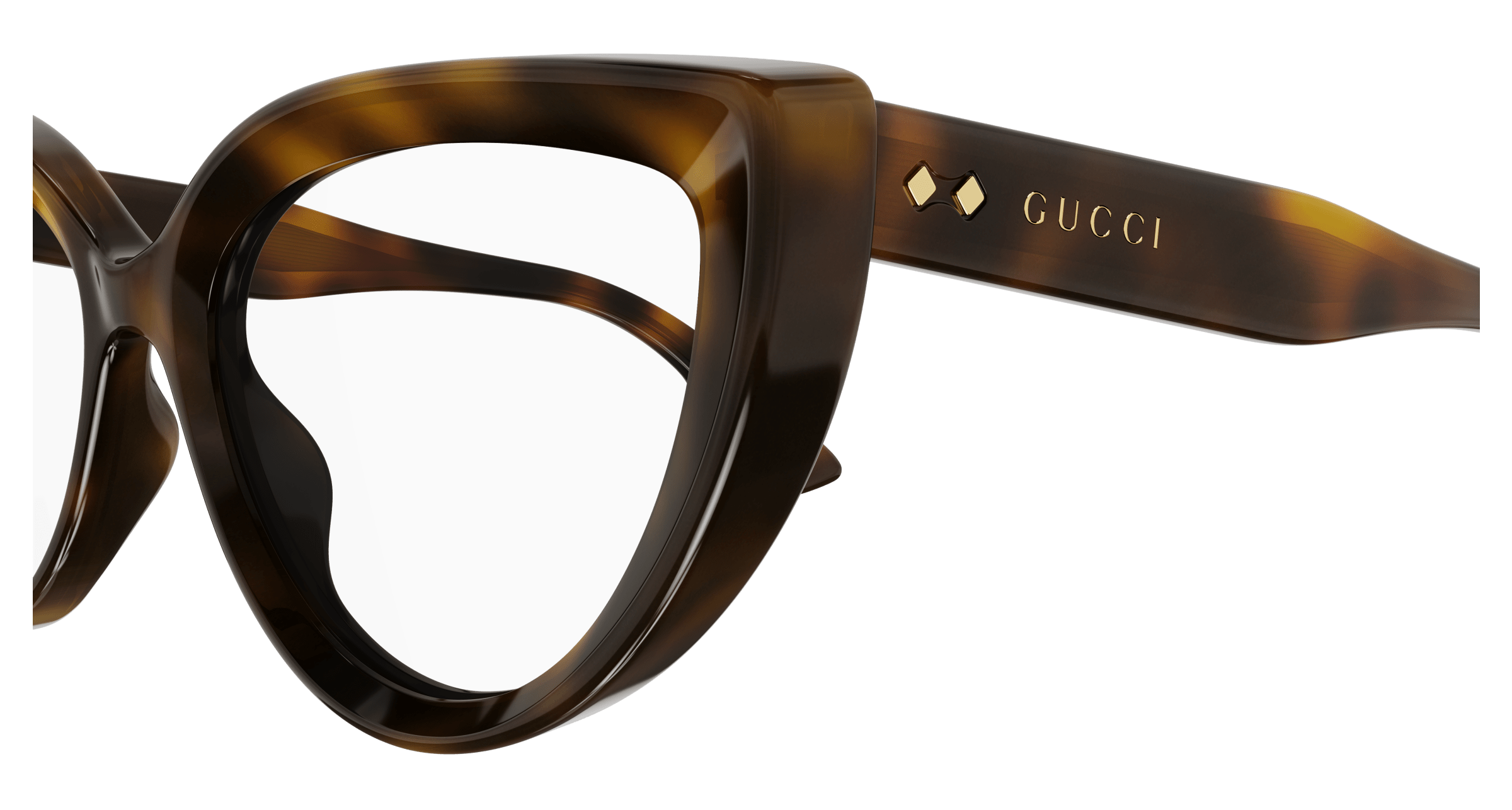 Havana Eyeglasses Gucci 889652467160