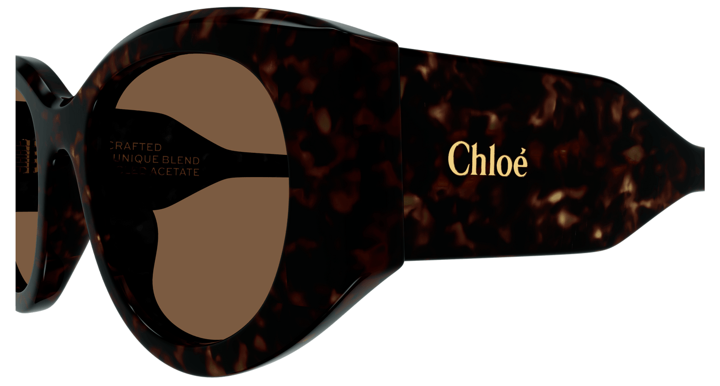 Chloe CH0251S Sunglasses 889652510040