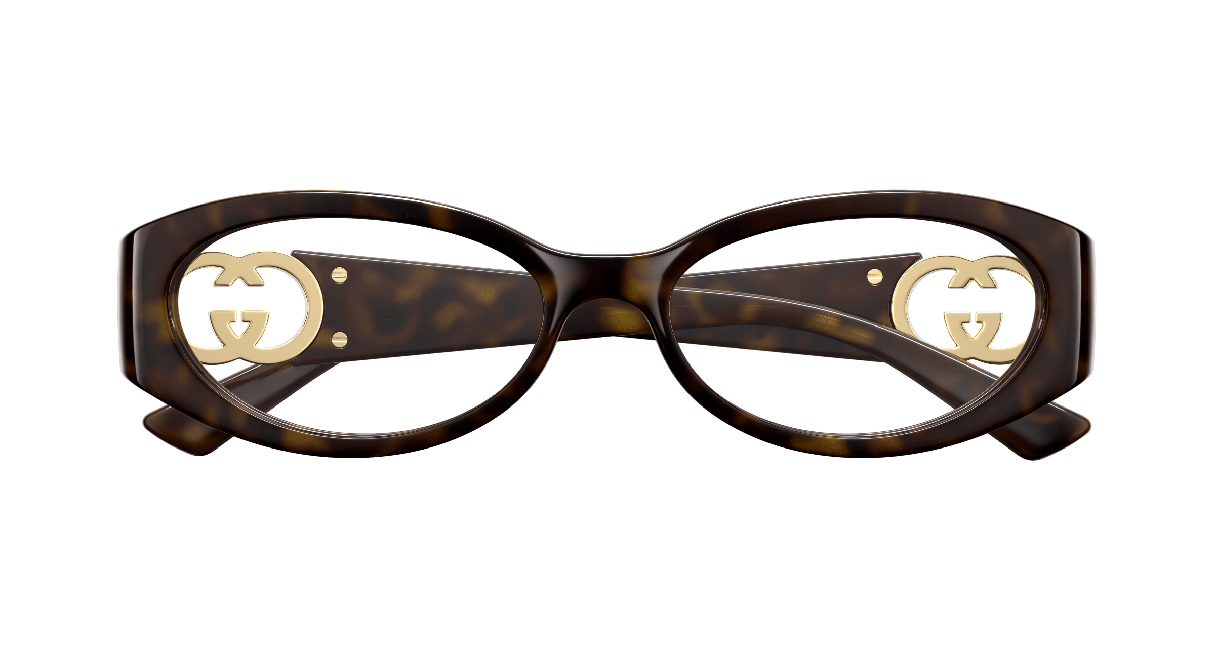 Havana Eyeglasses Gucci 889652499031