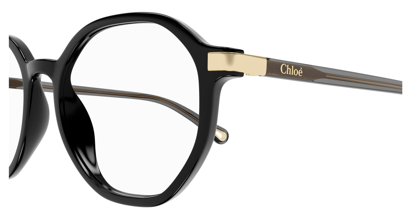 Chloe CH0249OA Eyeglasses 889652485188