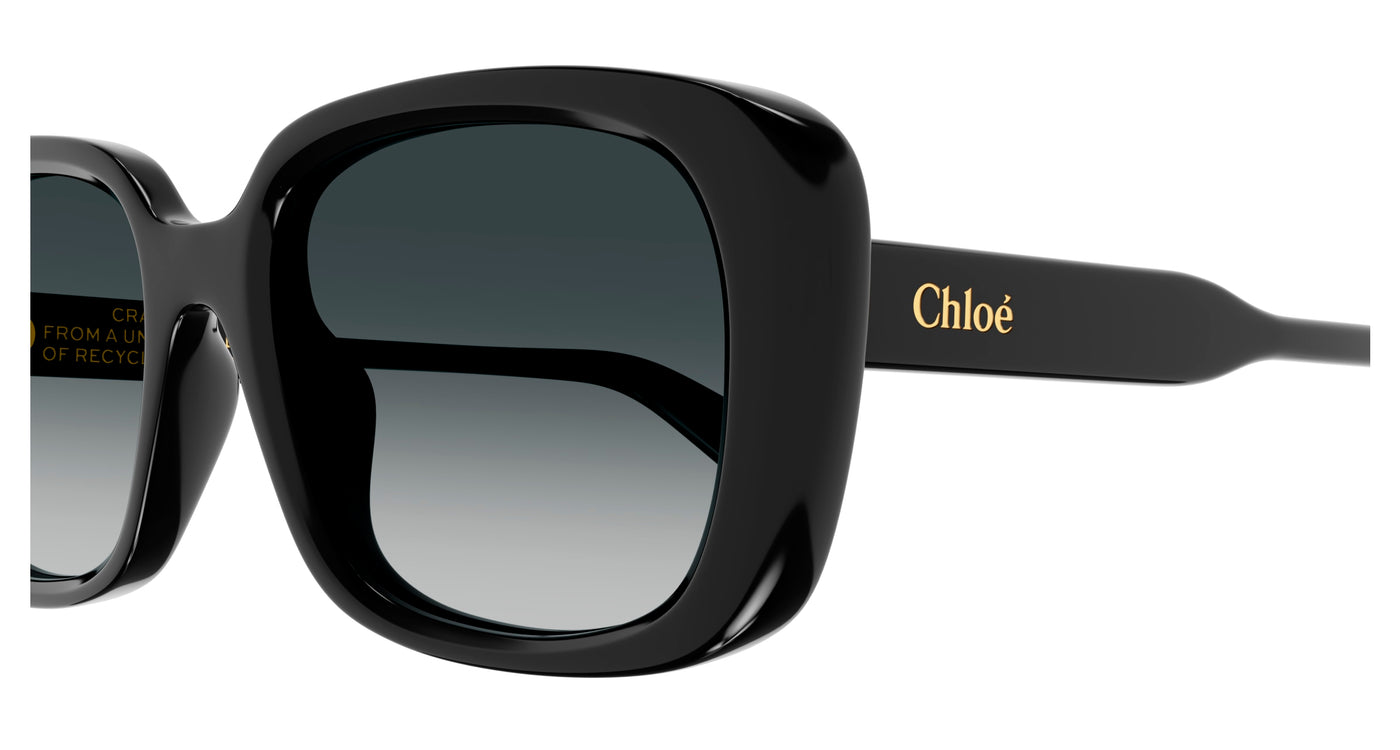 Chloe CH0225SK Sunglasses 889652481173