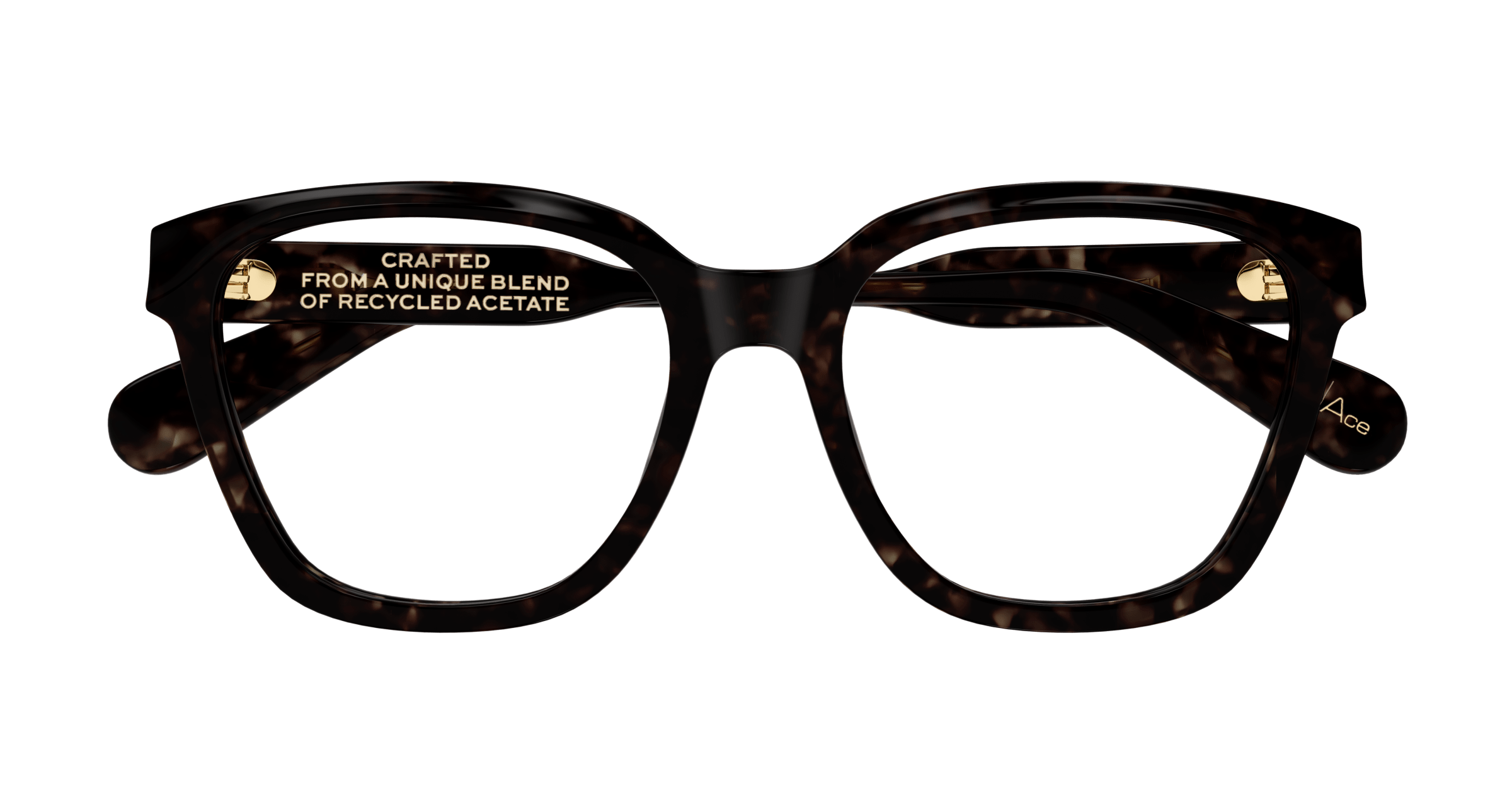 Chloe CH0265O Eyeglasses 889652510361