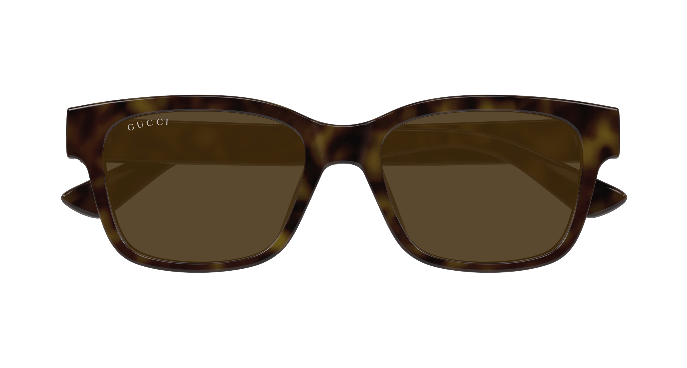 Havana Sunglasses Gucci 889652502748