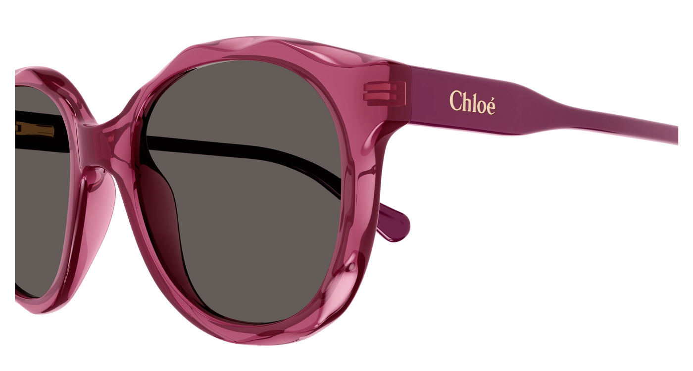 Chloe CC0019S Sunglasses 889652484686
