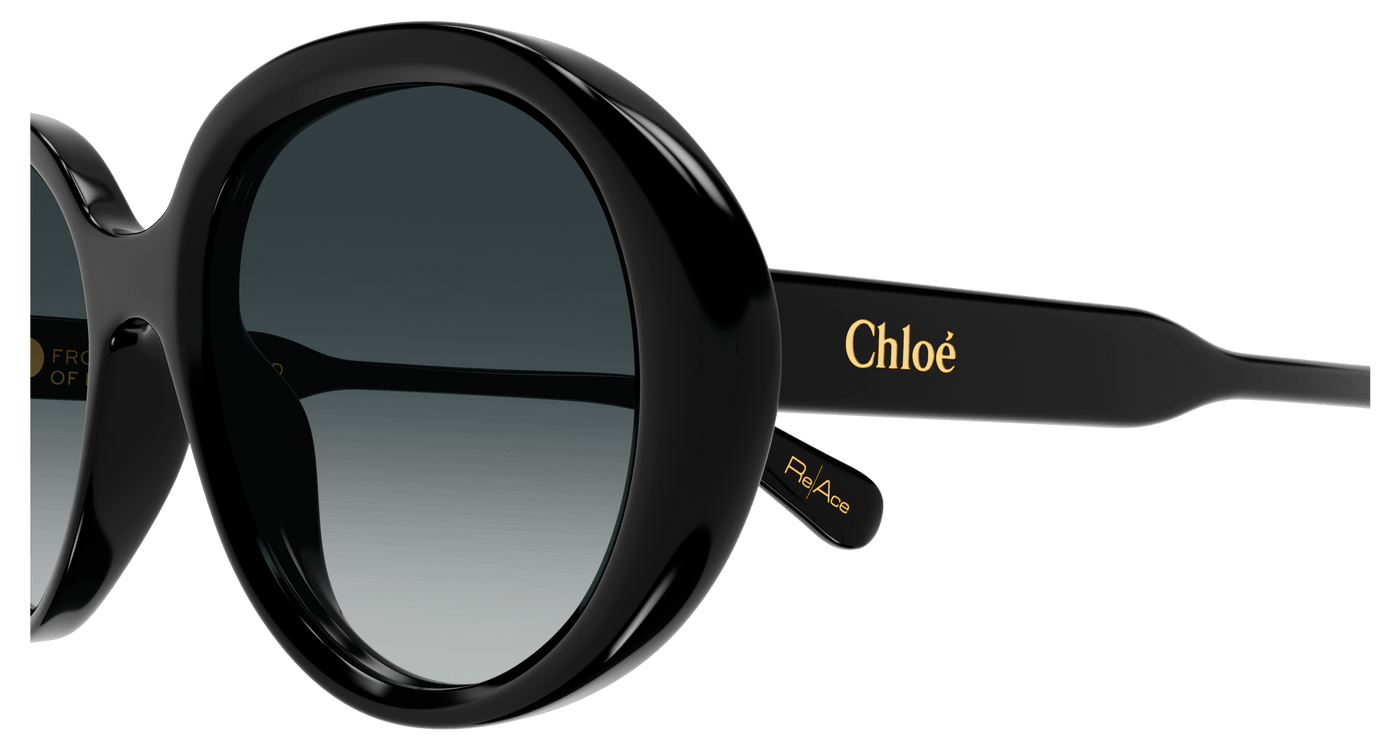 Chloe CH0221S Sunglasses 889652480978