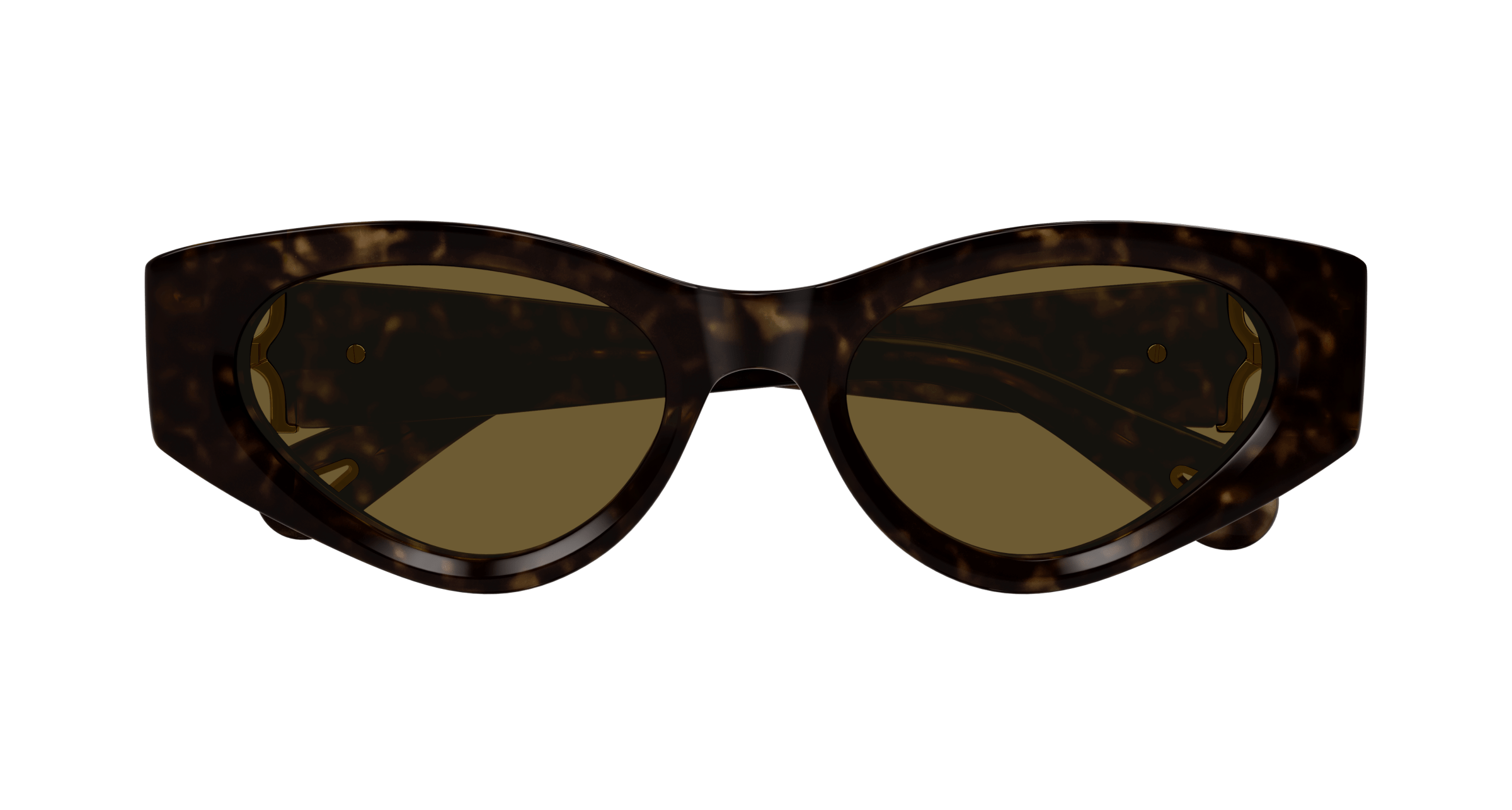 Chloe CH0259S Sunglasses 889652514857