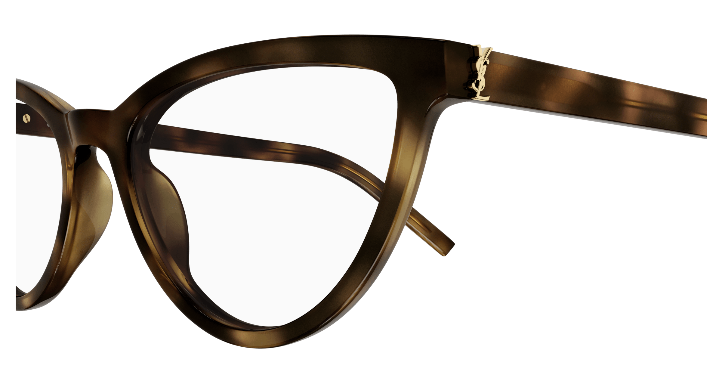 Havana Eyeglasses Saint Laurent 889652521381