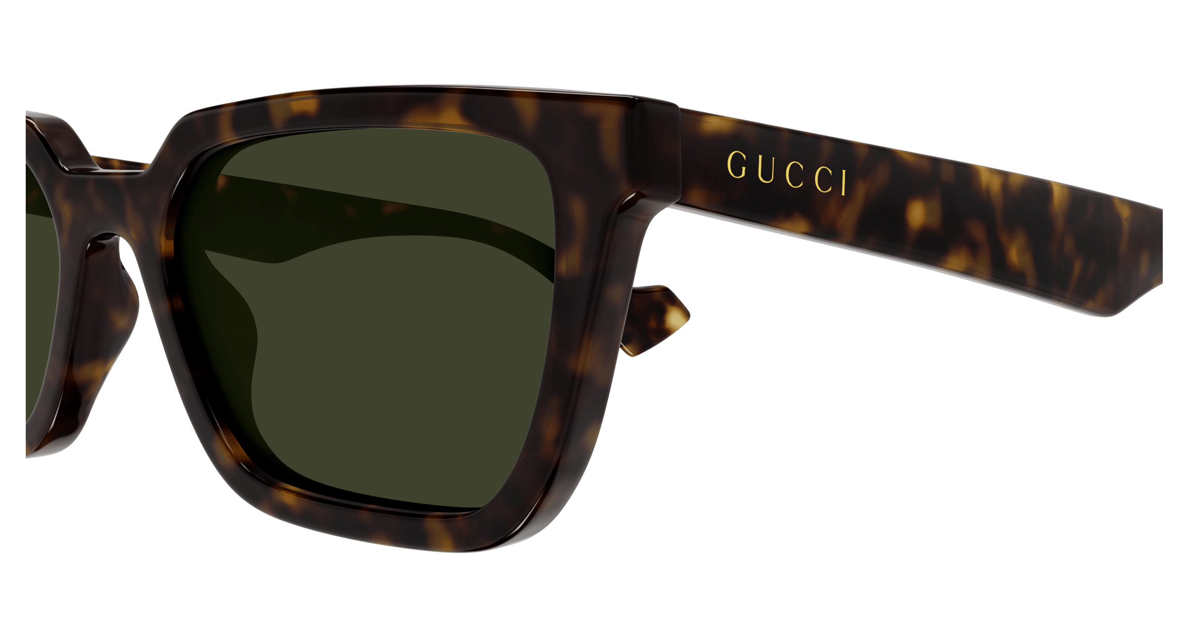 Havana Sunglasses Gucci 889652467825