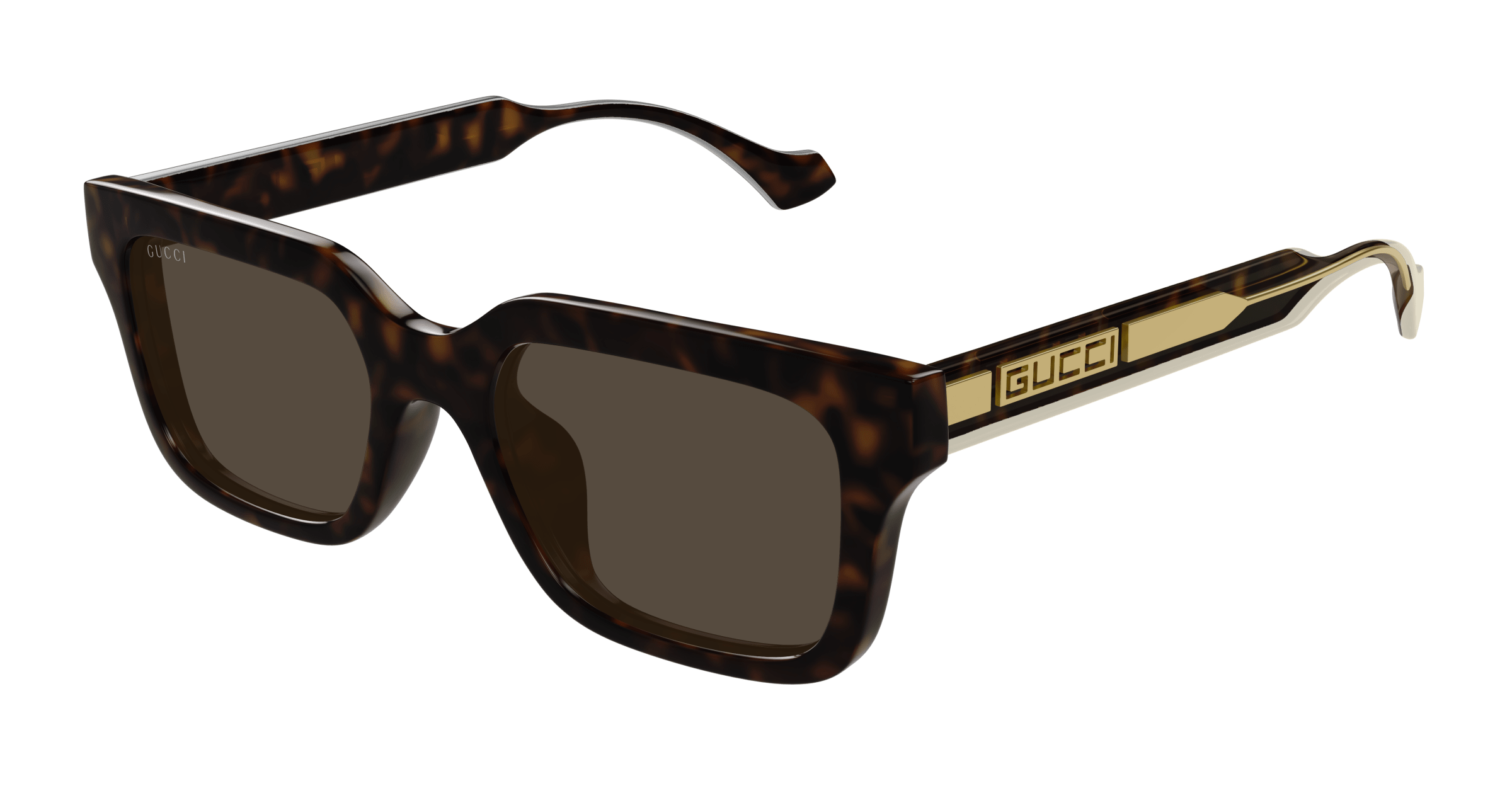 Havana Sunglasses Gucci 889652502106