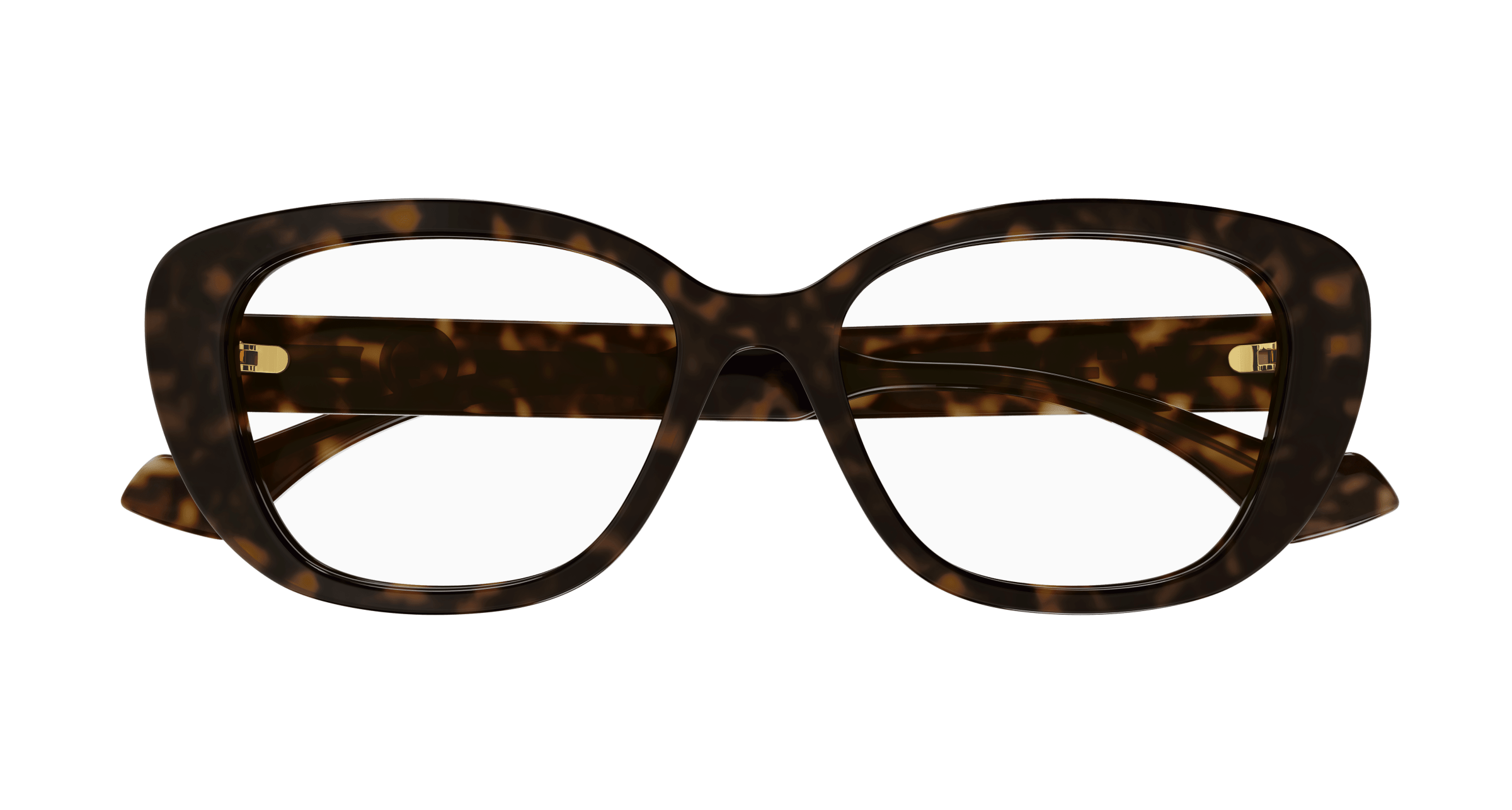 Havana Eyeglasses Gucci 889652473093