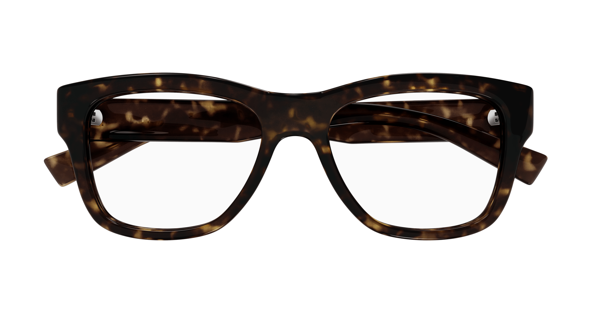 Havana Eyeglasses Saint Laurent 889652489407