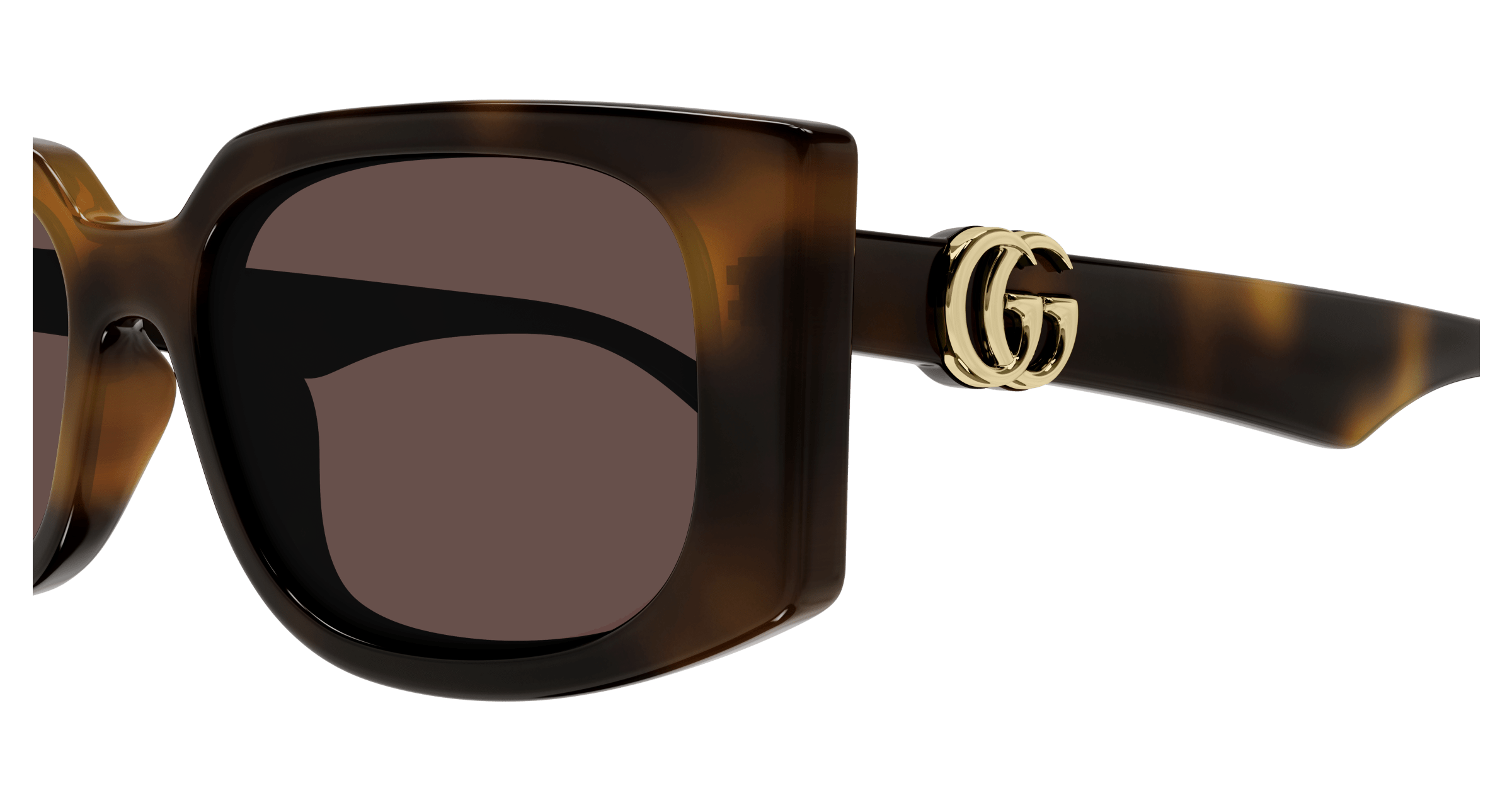 Havana Sunglasses Gucci 889652468174