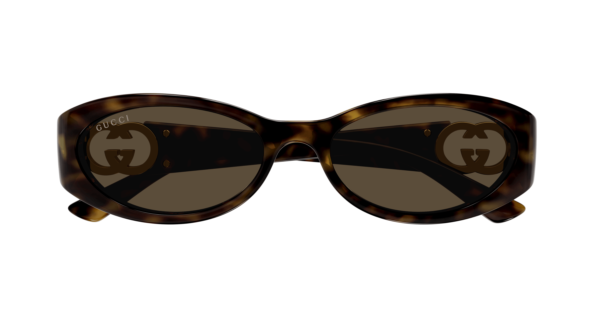 Havana Sunglasses Gucci 889652494838