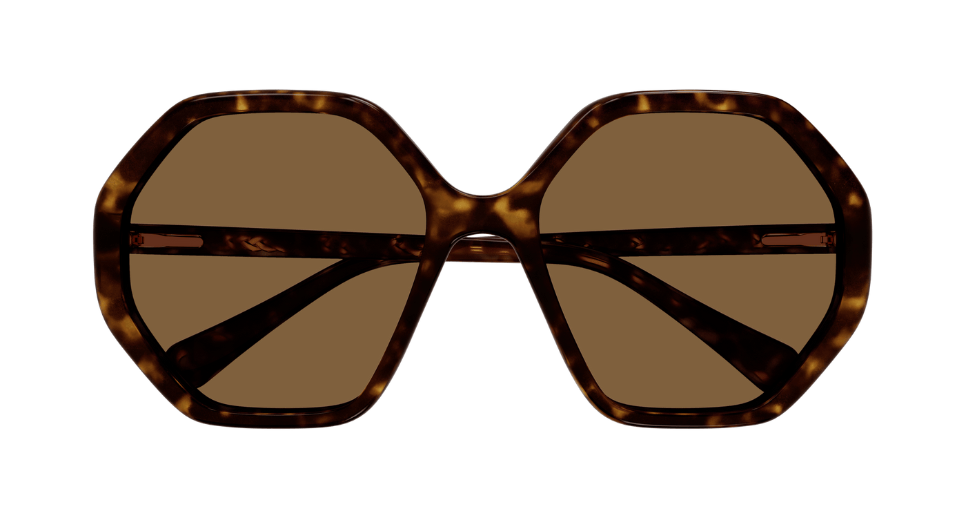 Chloe CC0004S Sunglasses 889652488370