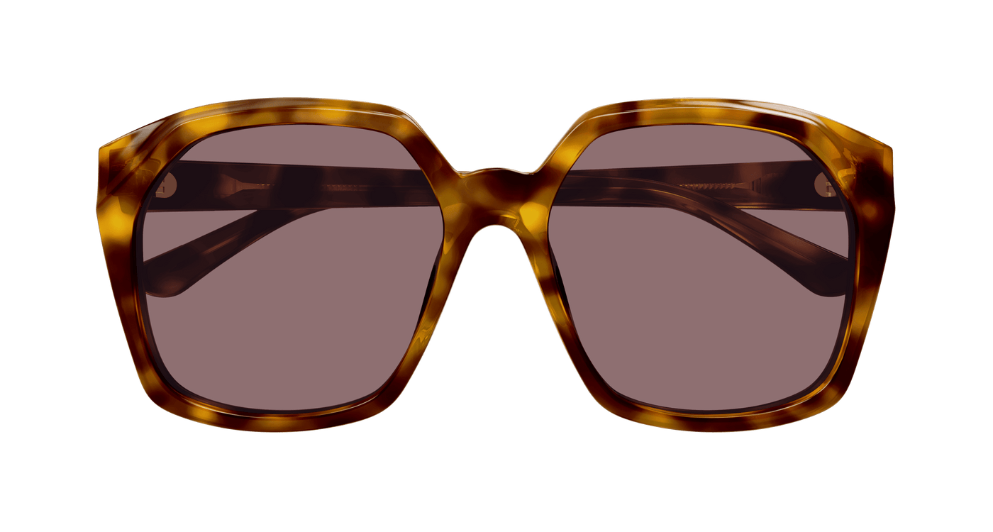 Chloe CH0280S Sunglasses 889652523460