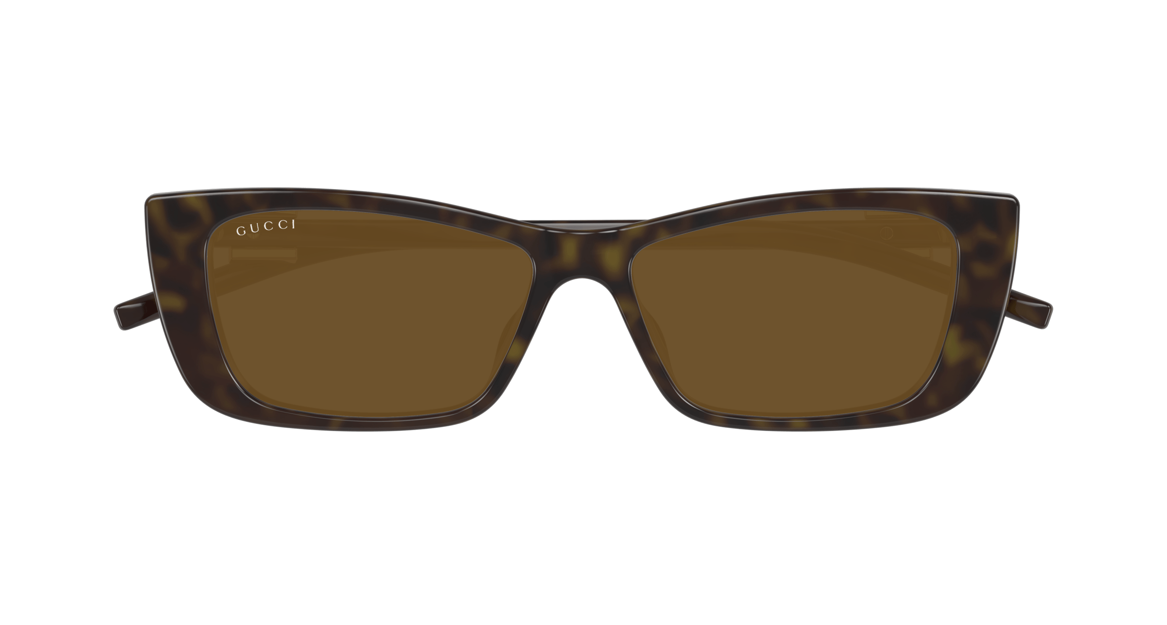 Havana Sunglasses Gucci 889652498843