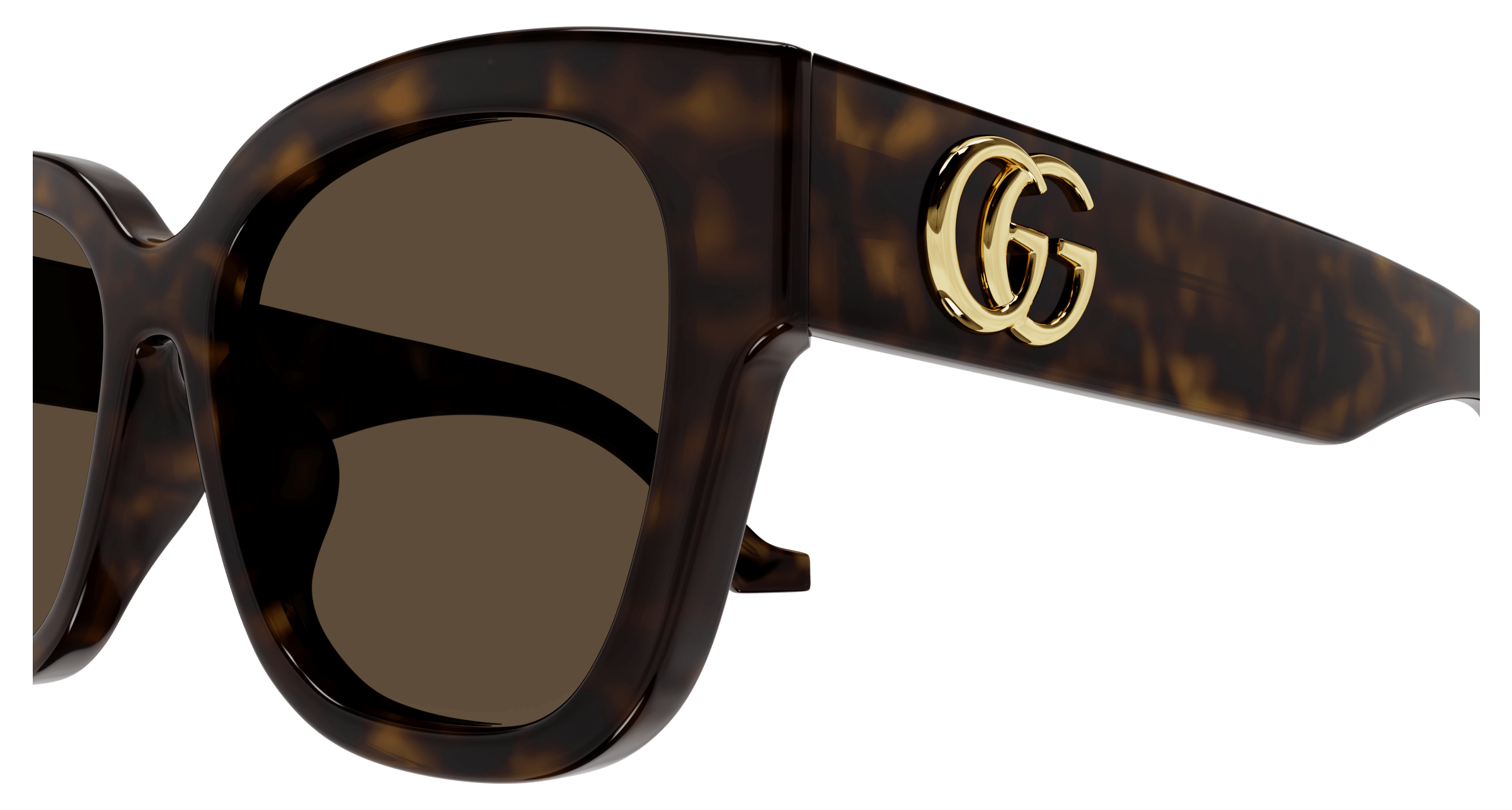 Havana Sunglasses Gucci 889652472744