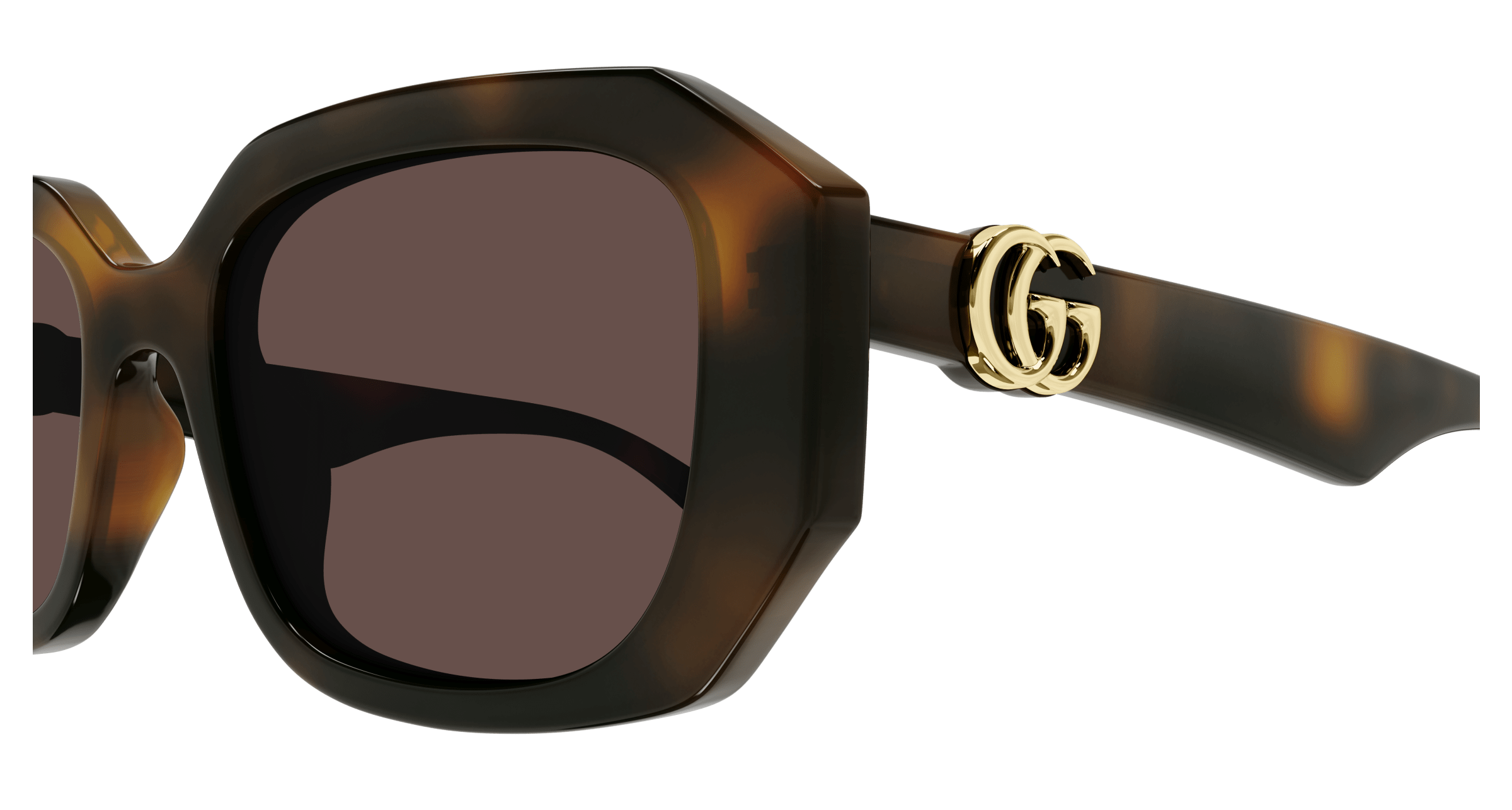 Havana Sunglasses Gucci 889652468235