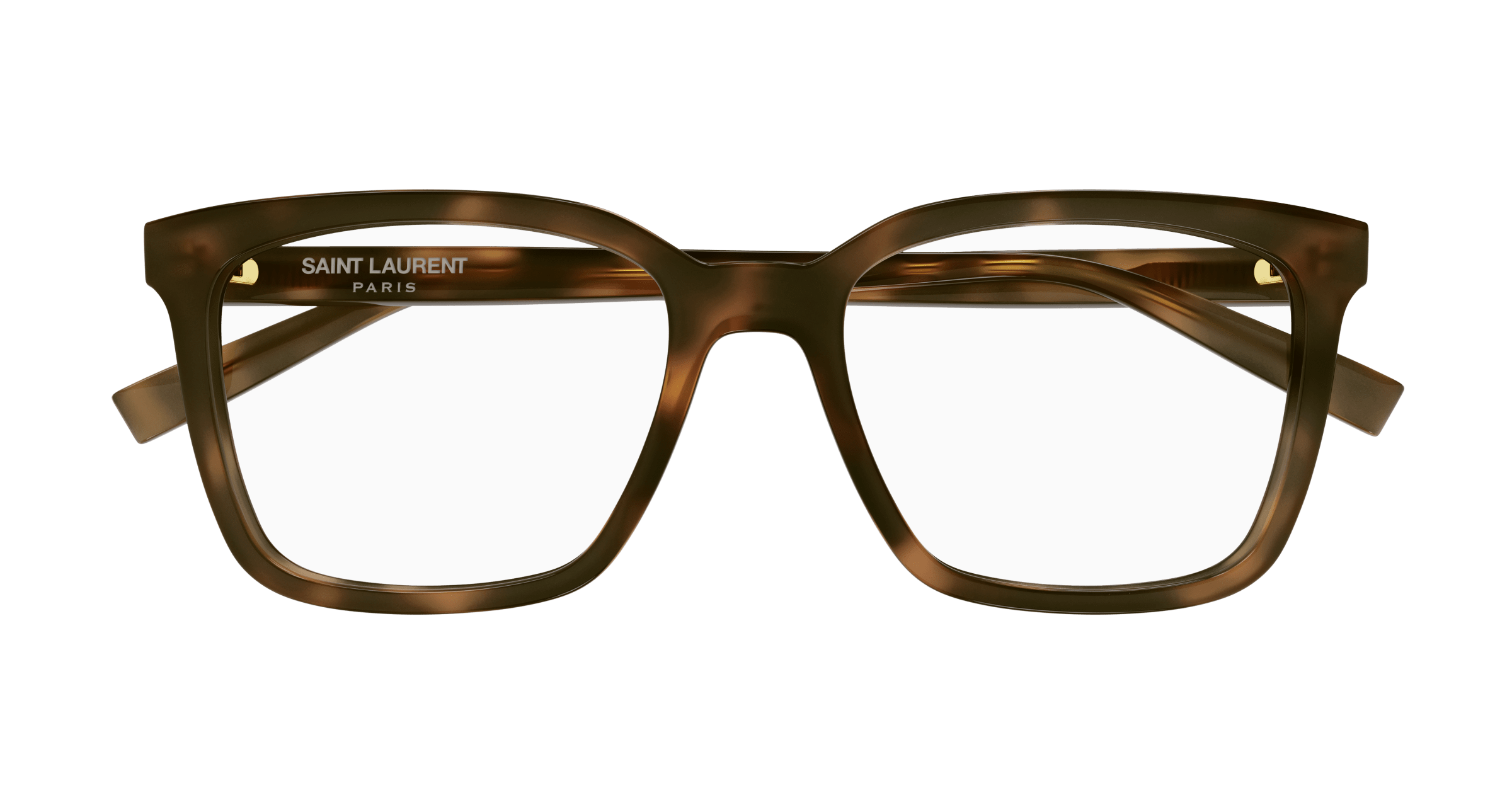 Havana Eyeglasses Saint Laurent 889652489377