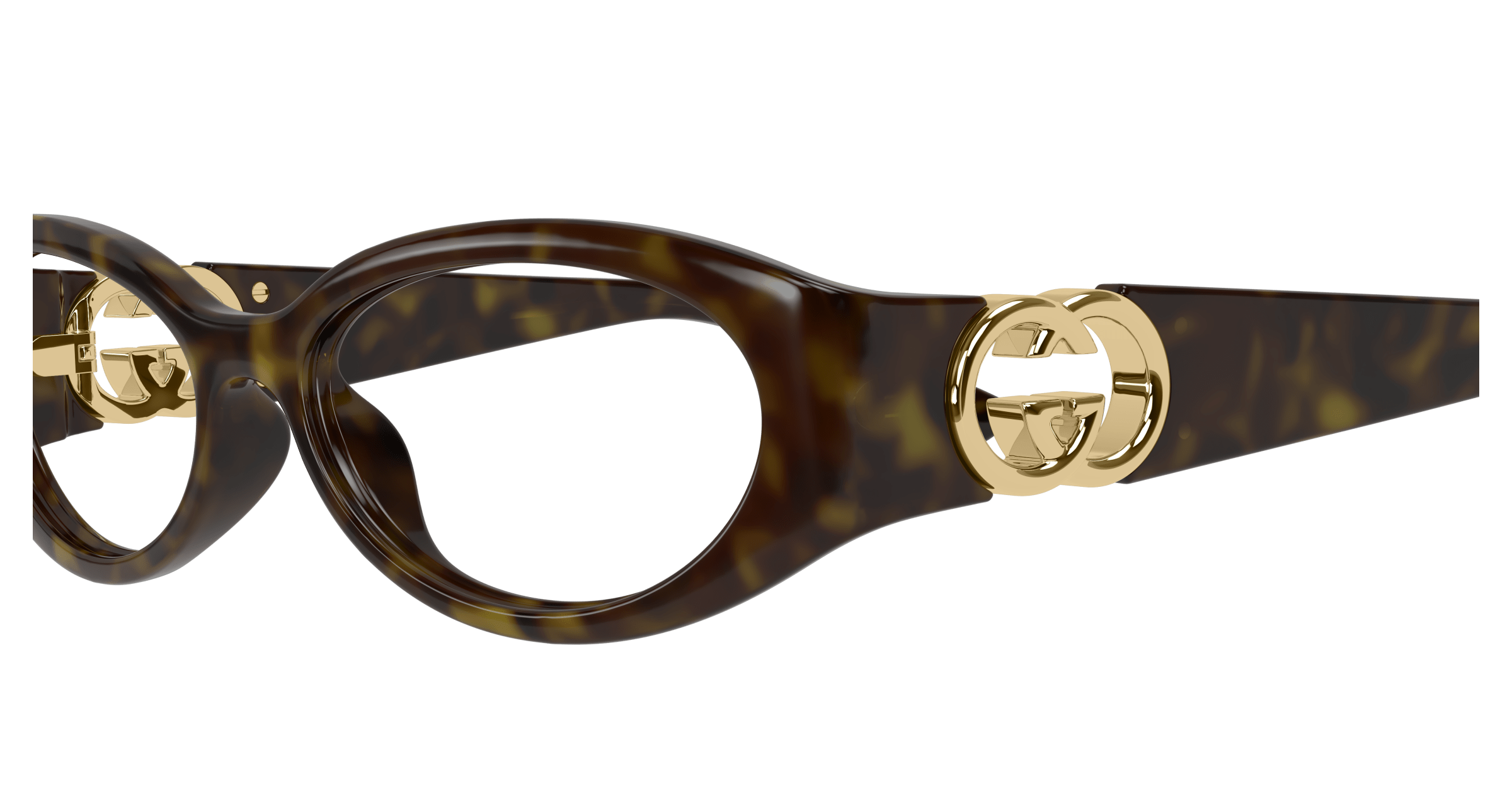 Havana Eyeglasses Gucci 889652499031