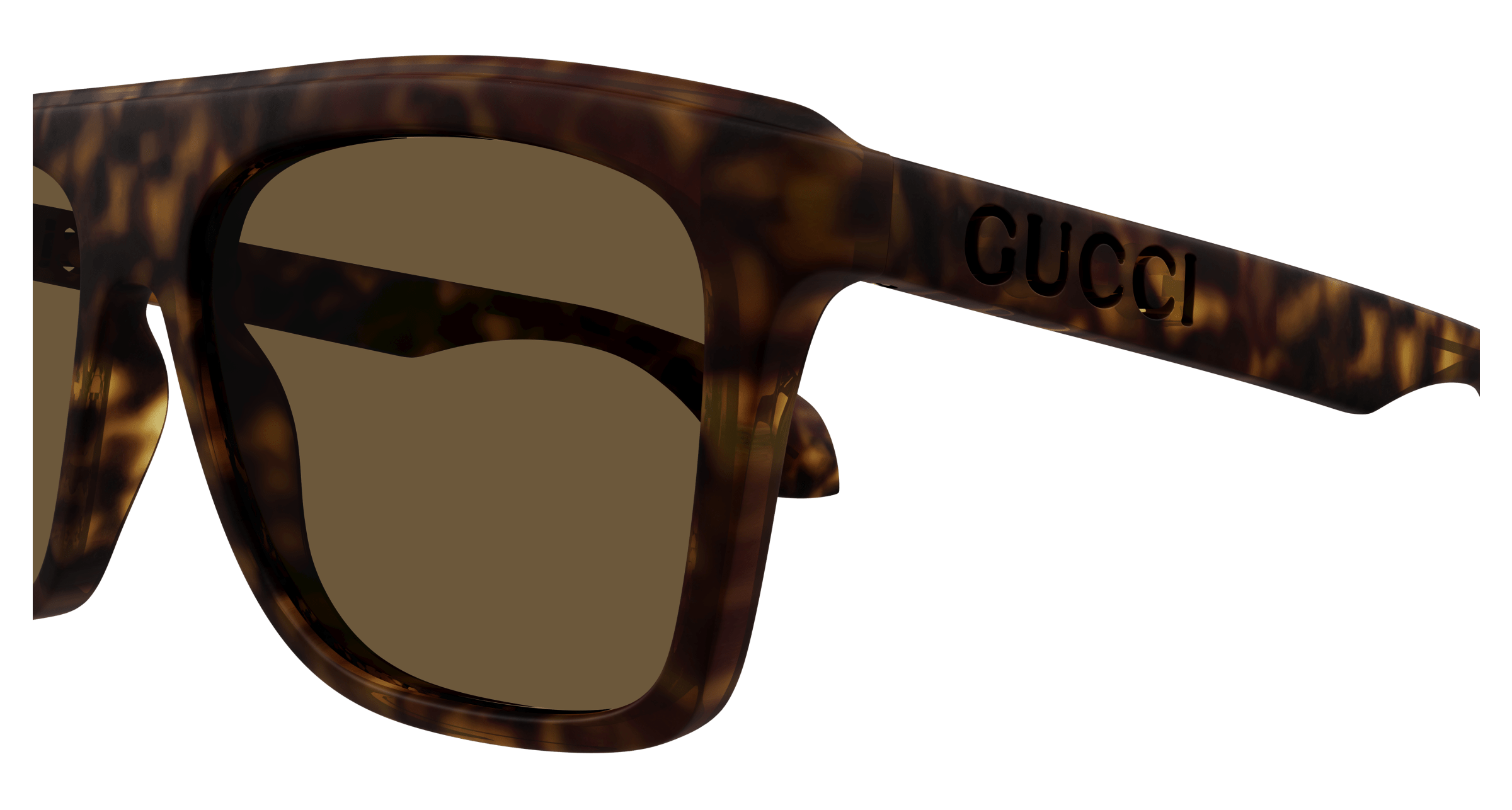 Havana Sunglasses Gucci 889652469034