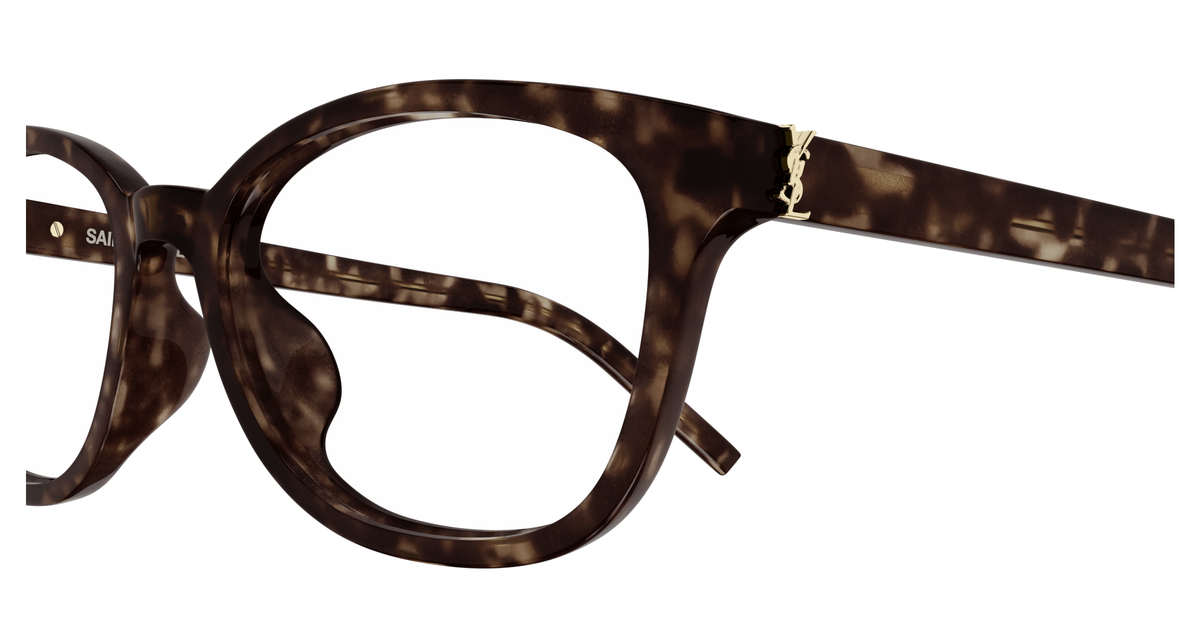 Havana Eyeglasses Saint Laurent 889652517353