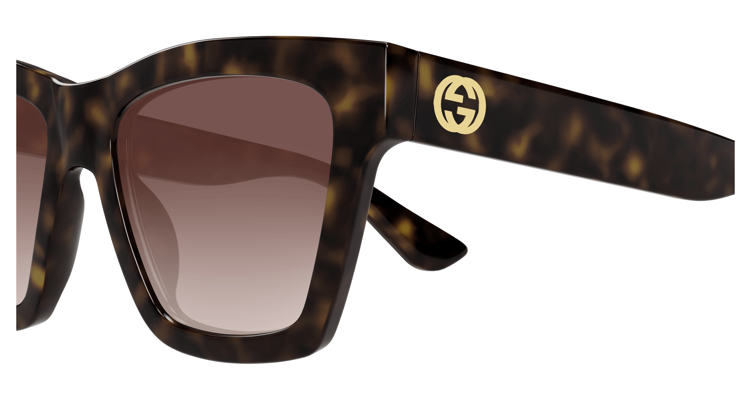 Havana Sunglasses Gucci 889652502694