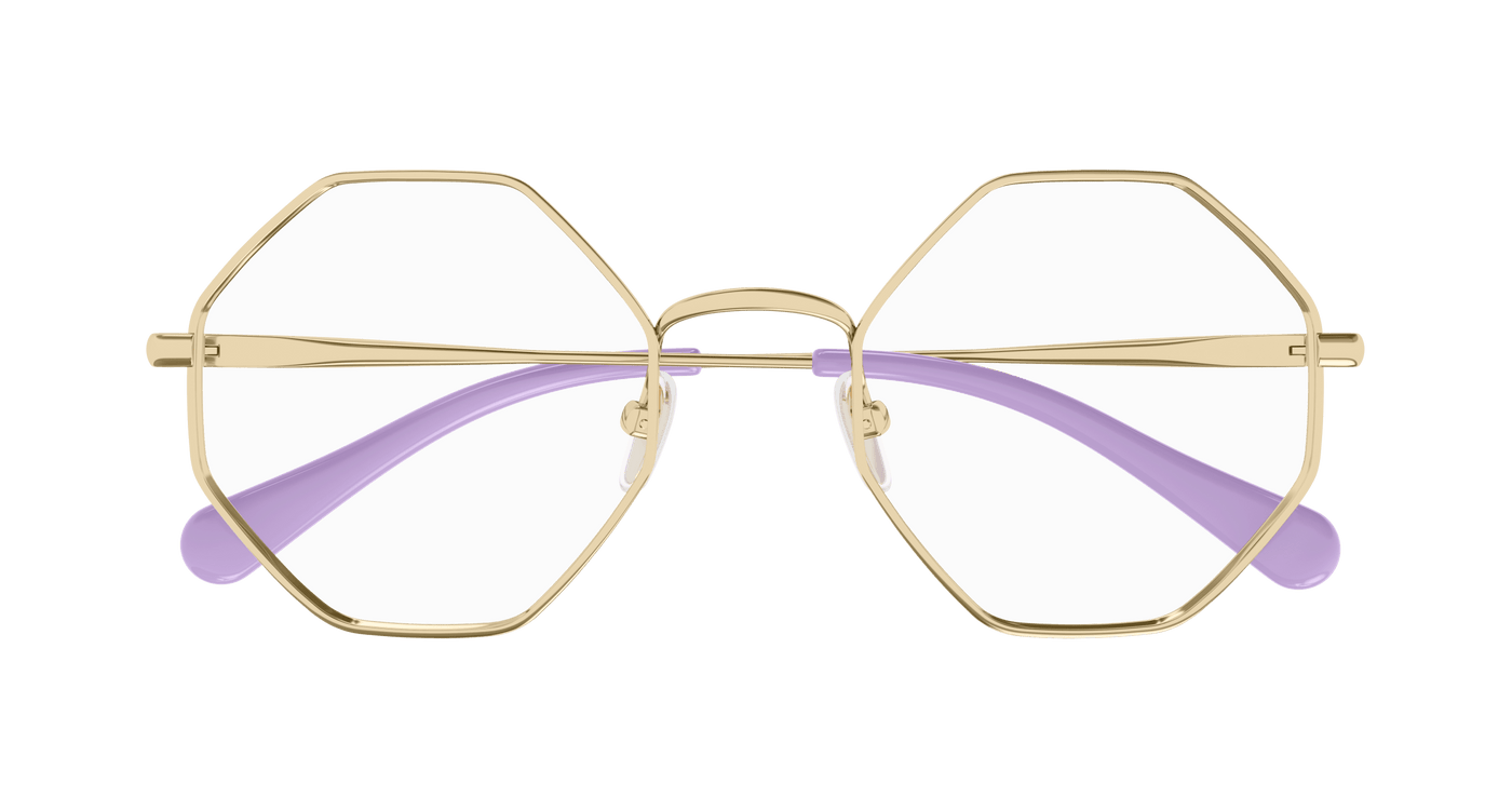 Chloe CC0023O Eyeglasses 889652484792