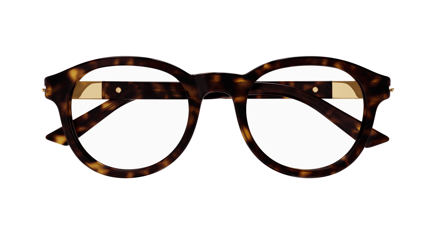 Gucci GG1503O Havana 889652469997