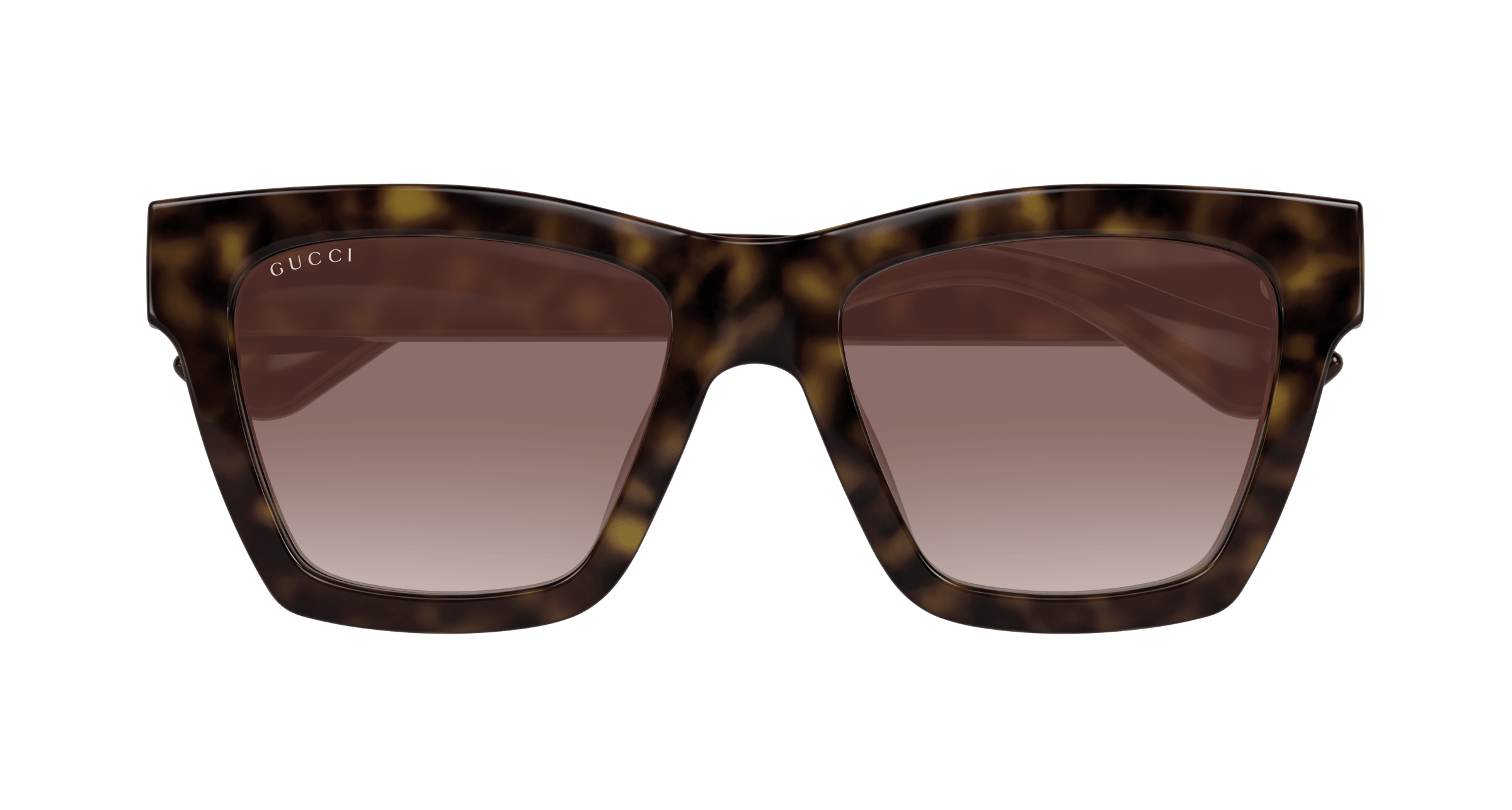 Havana Sunglasses Gucci 889652502694