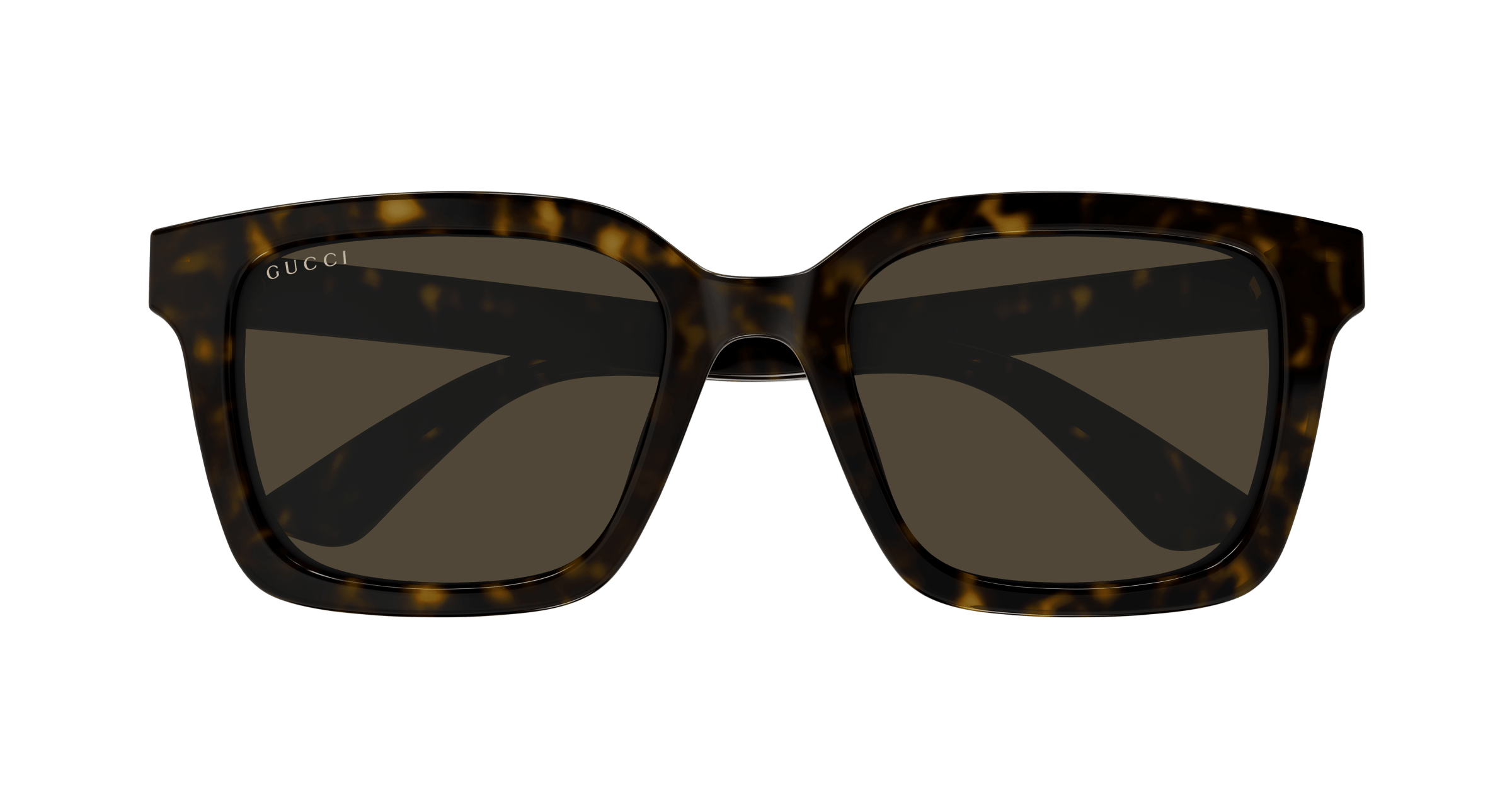 Havana Sunglasses Gucci 889652473161