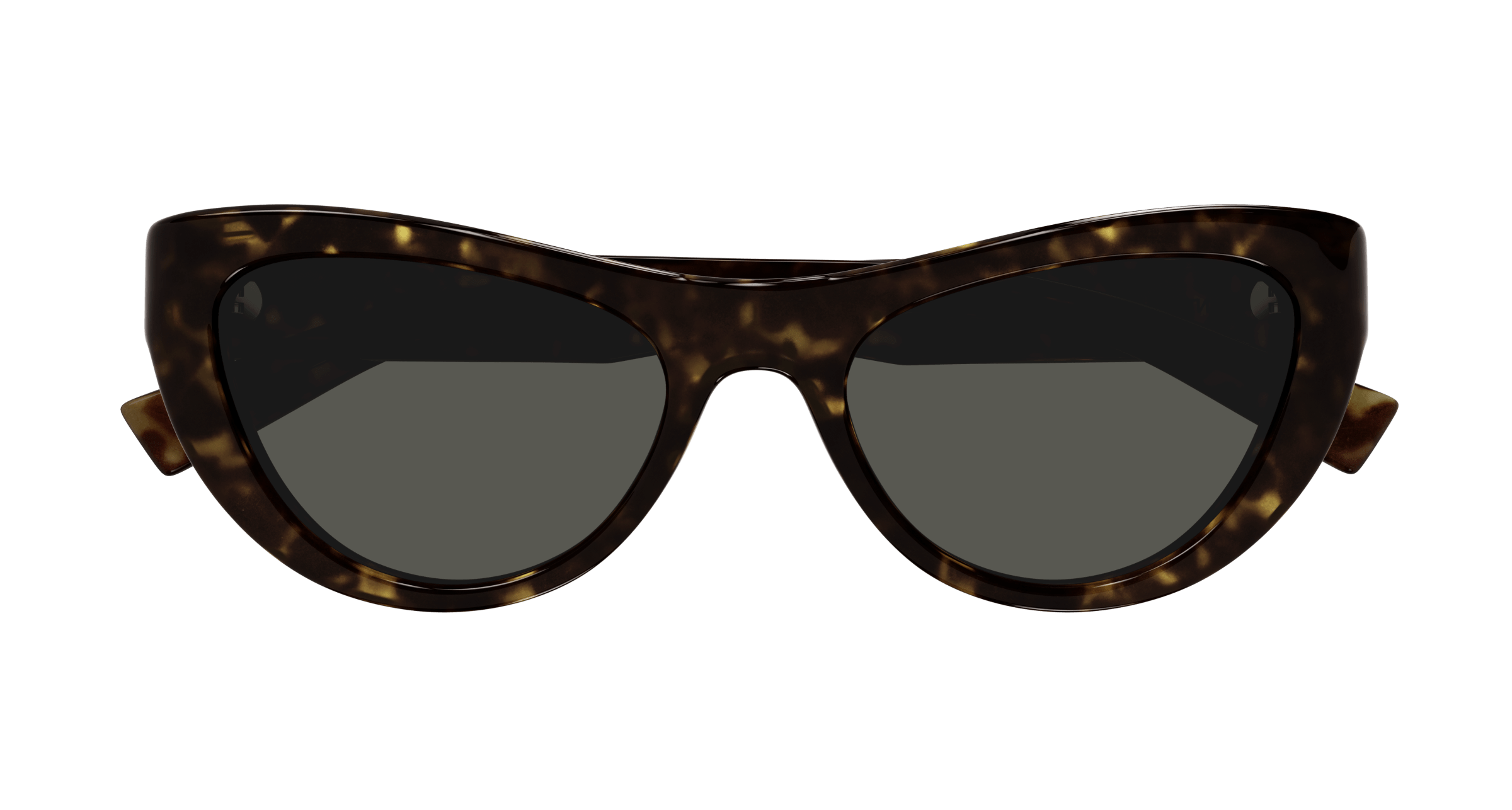 Havana Sunglasses Saint Laurent 889652489193