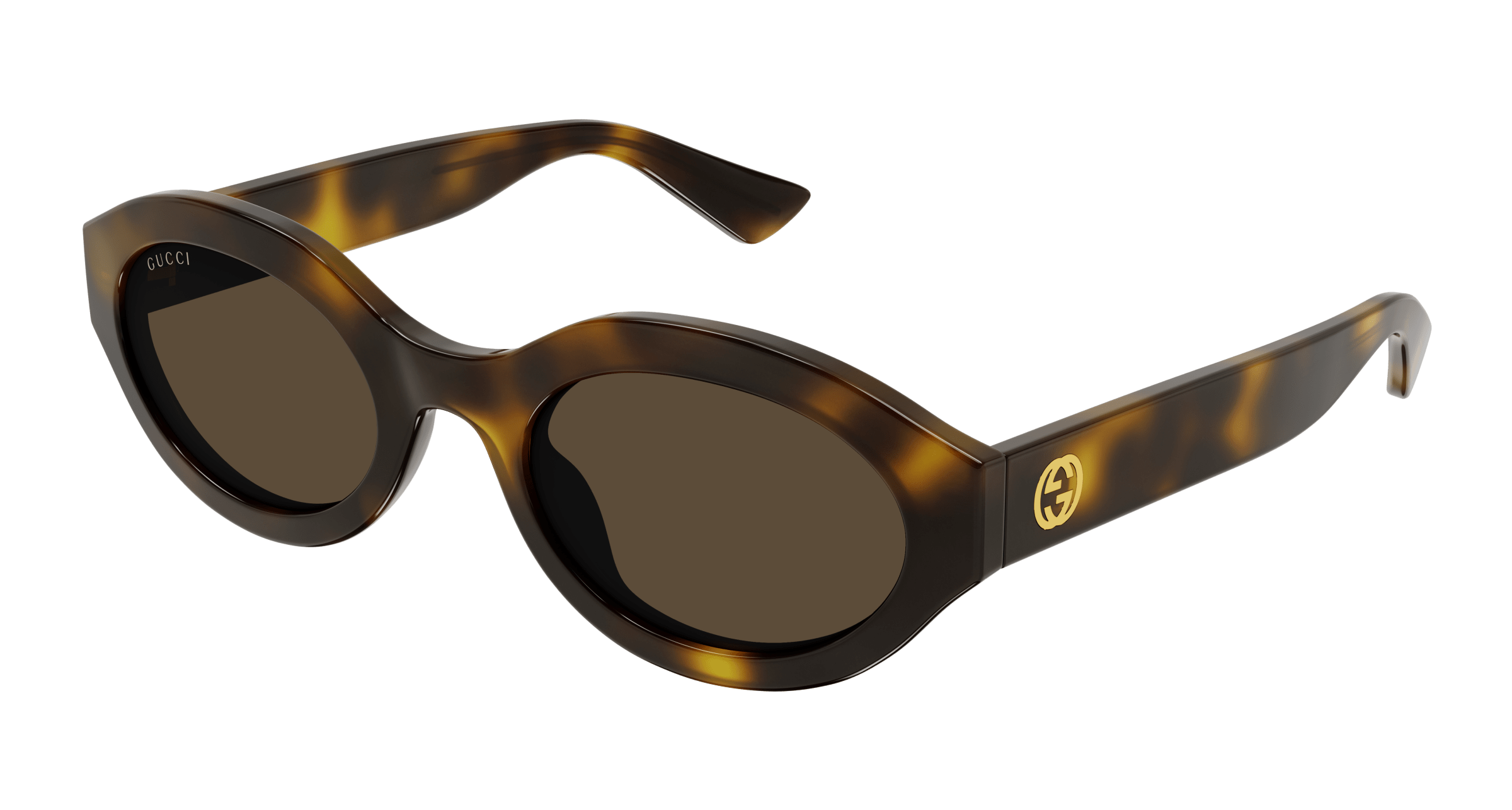 Havana Sunglasses Gucci 889652468990