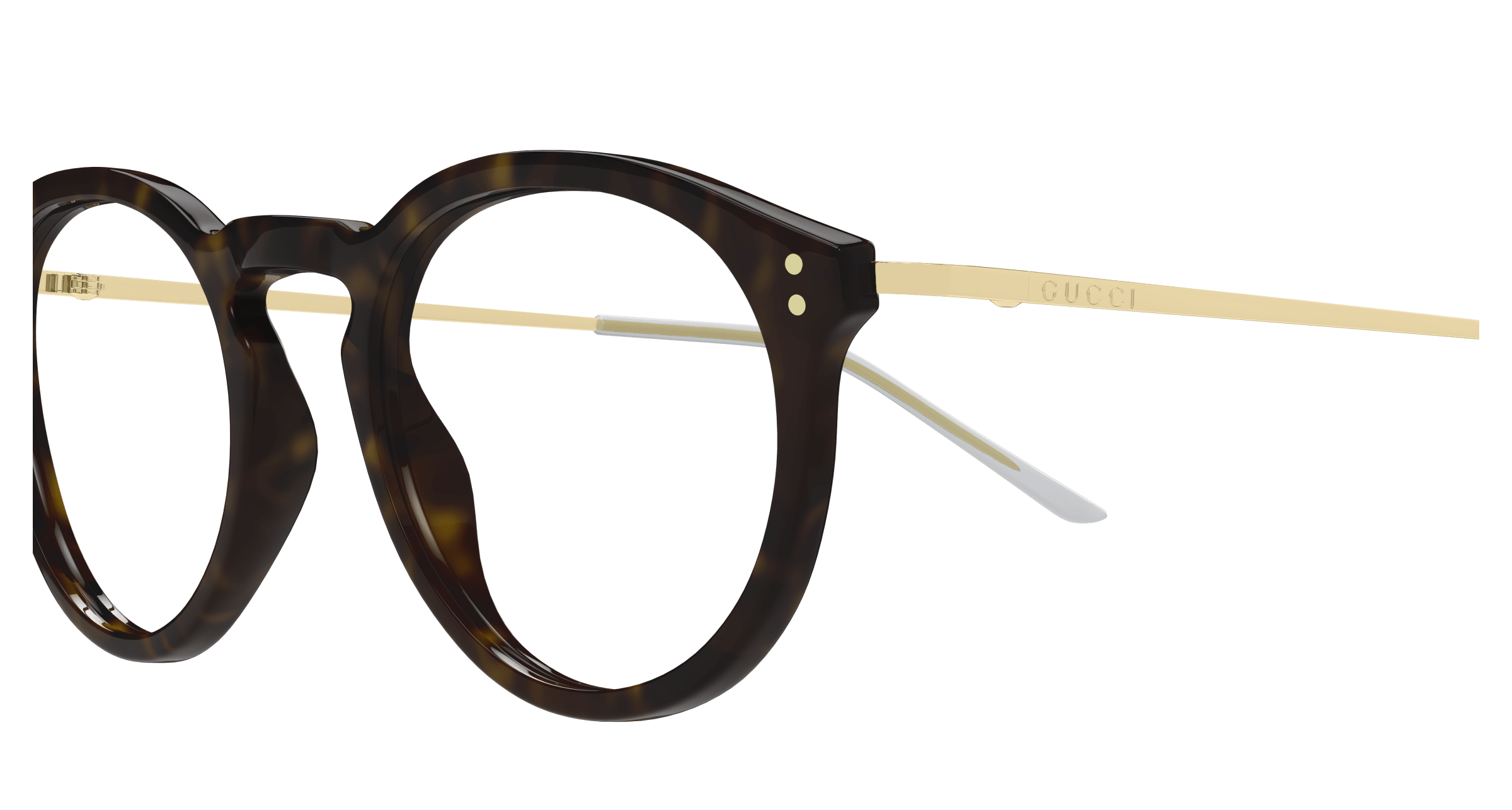 Havana Eyeglasses Gucci 889652499871