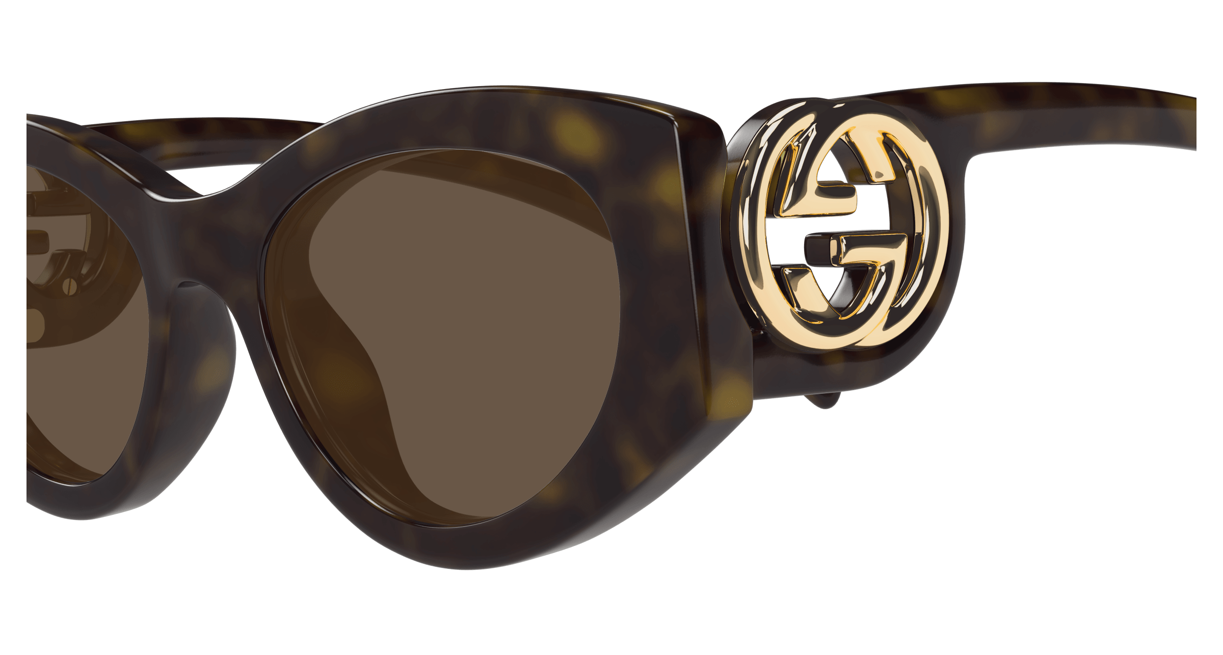 Havana Sunglasses Gucci 889652498973