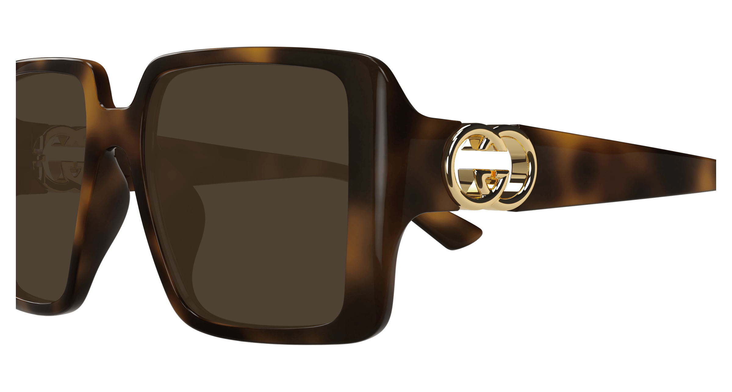 Havana Sunglasses Gucci 889652499420