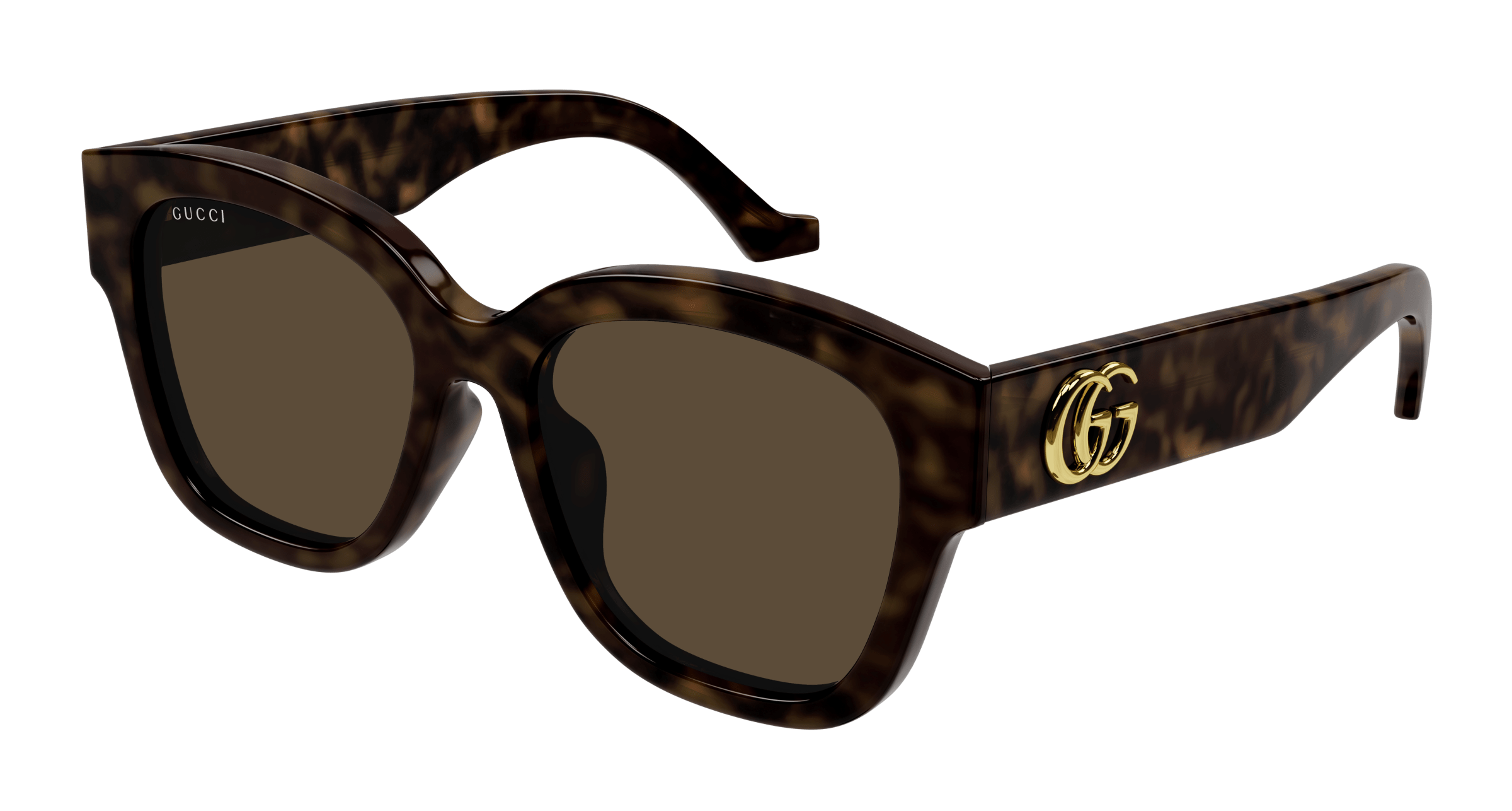 Havana Sunglasses Gucci 889652472744