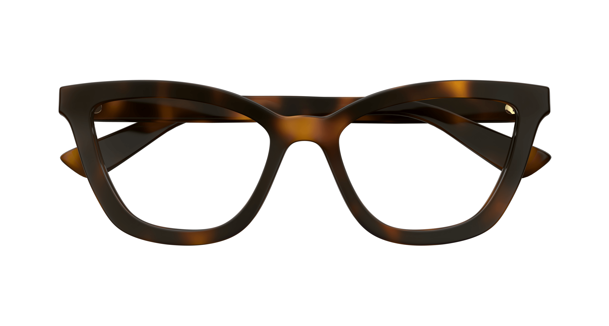 Havana Eyeglasses Gucci 889652500560