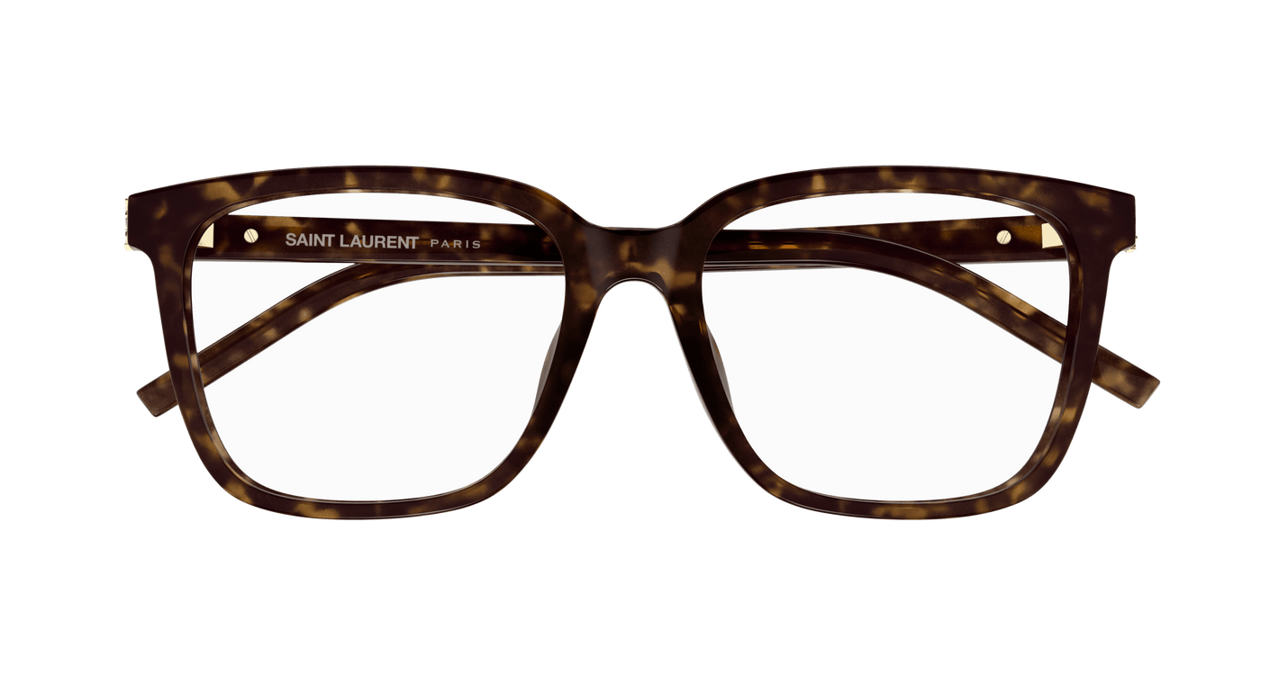 Saint Laurent SL M142/F Havana 889652517193