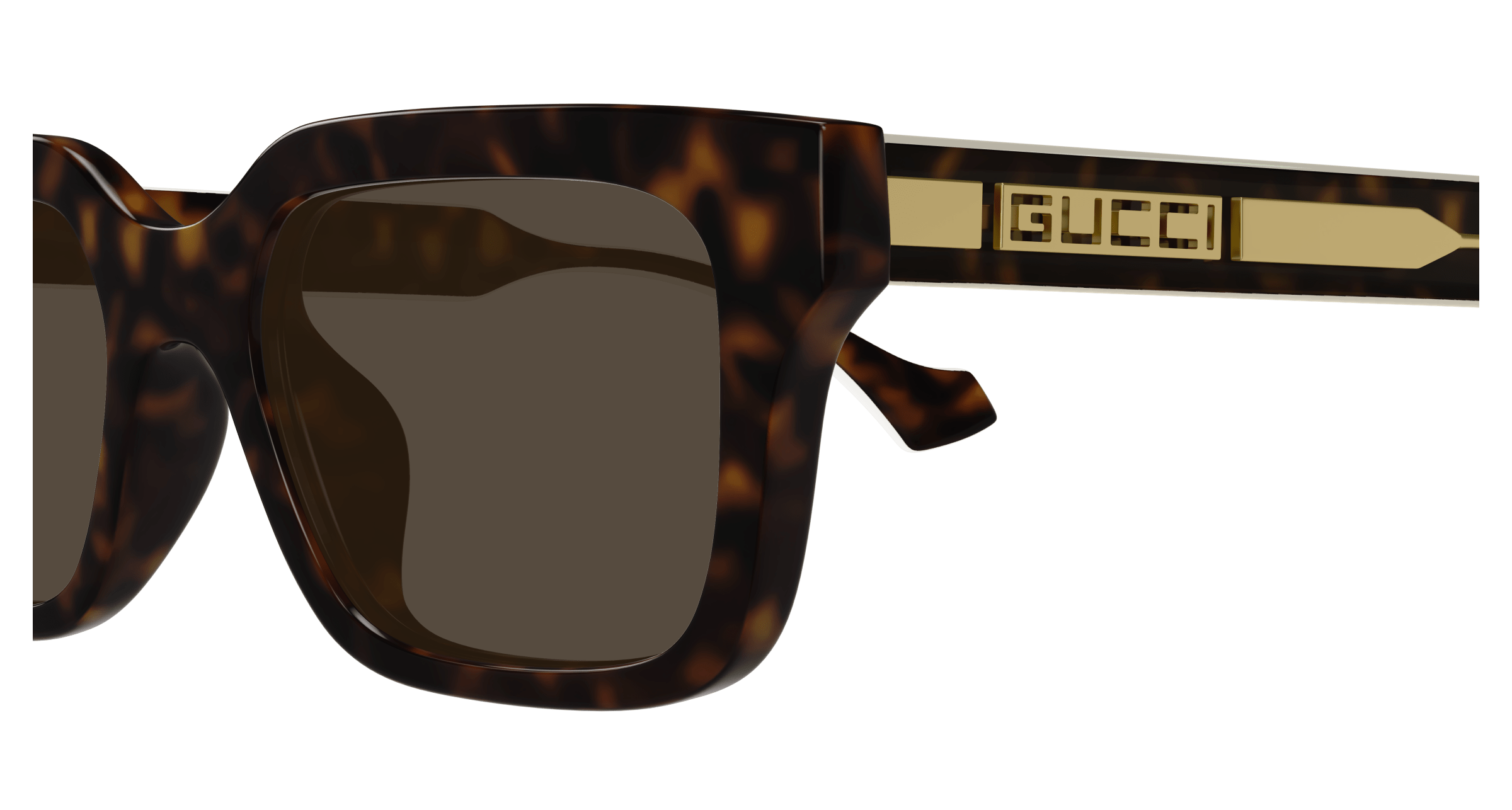 Havana Sunglasses Gucci 889652502106