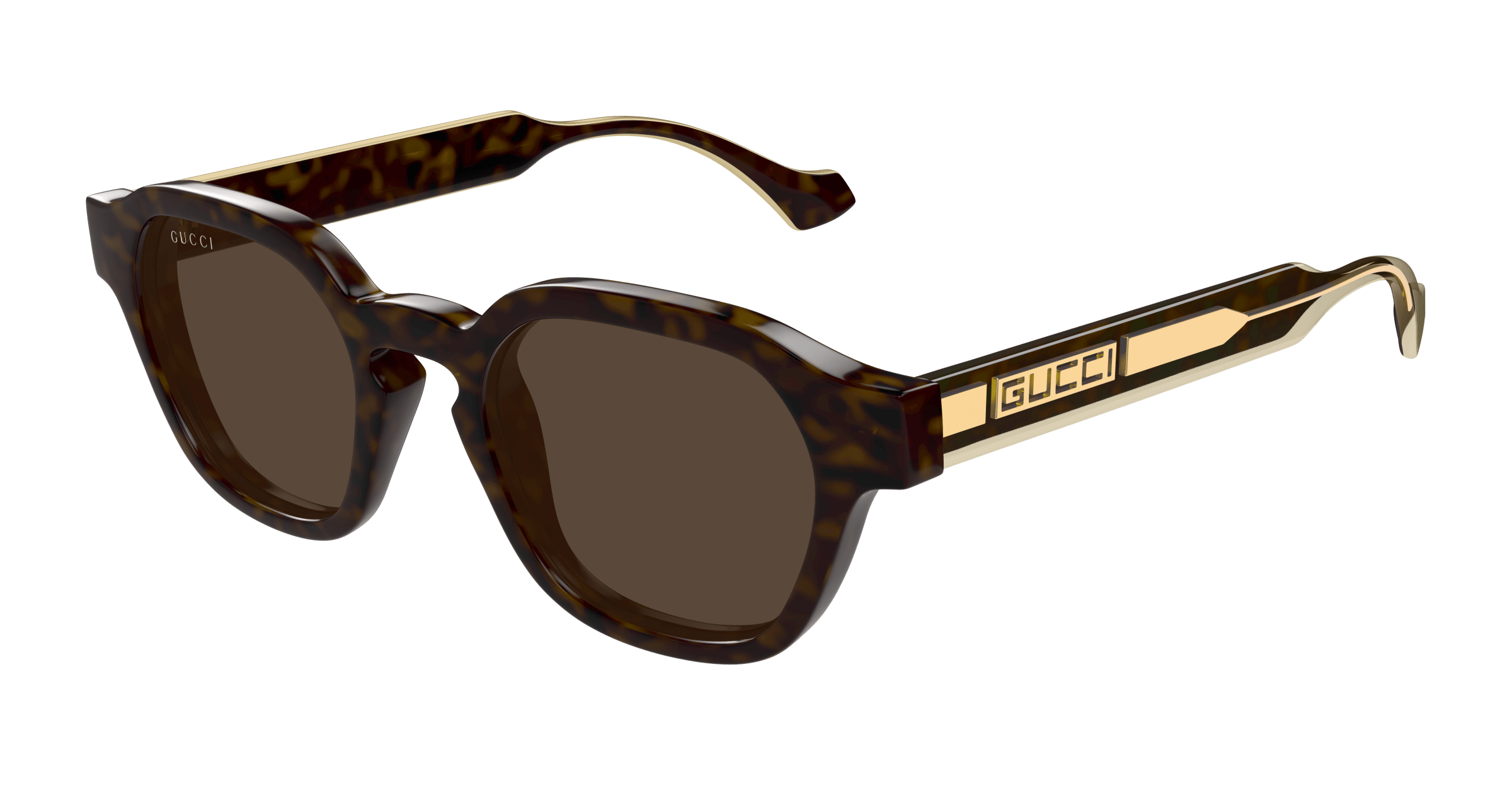 Havana Sunglasses Gucci 889652499246